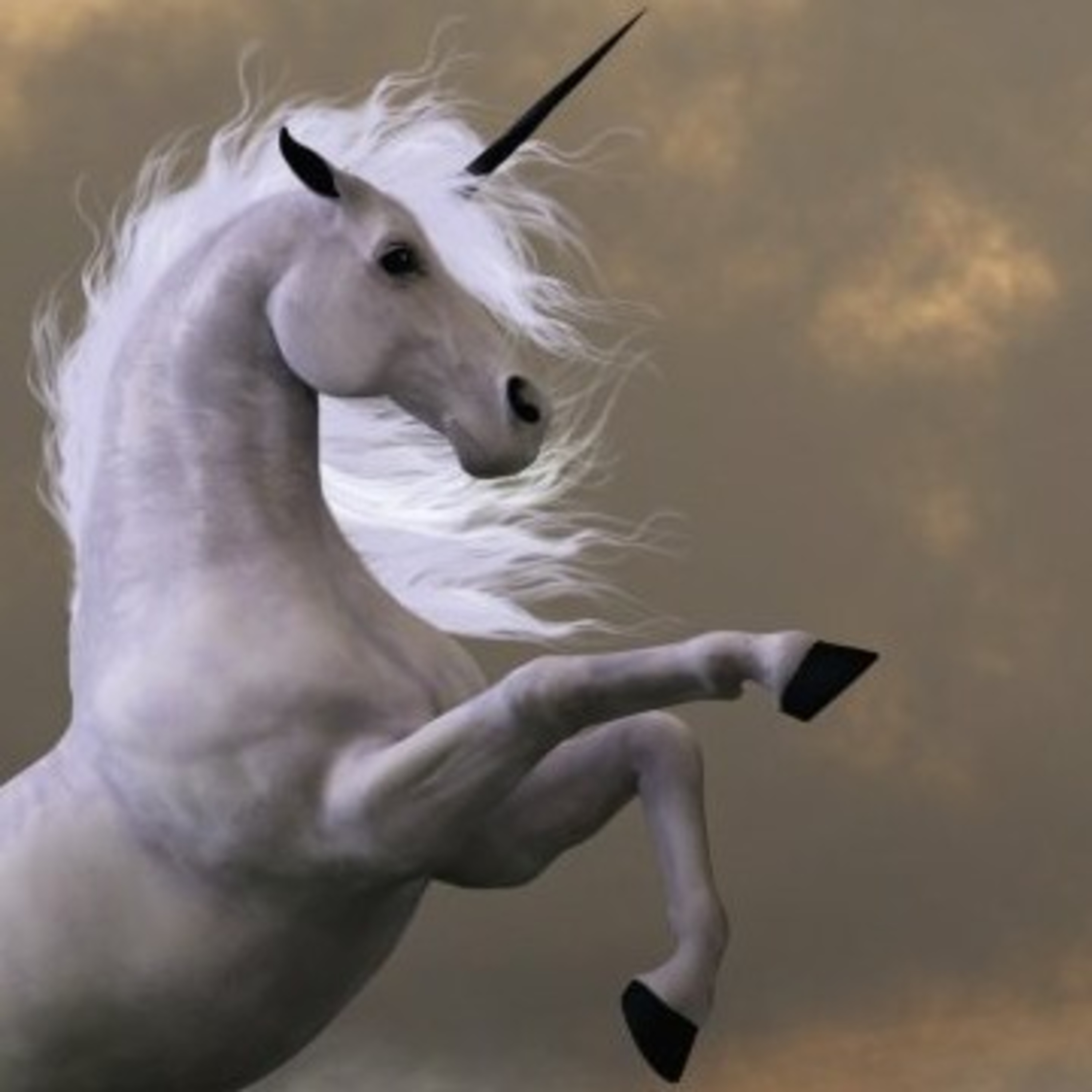 #32 | Unicorns episode artwork