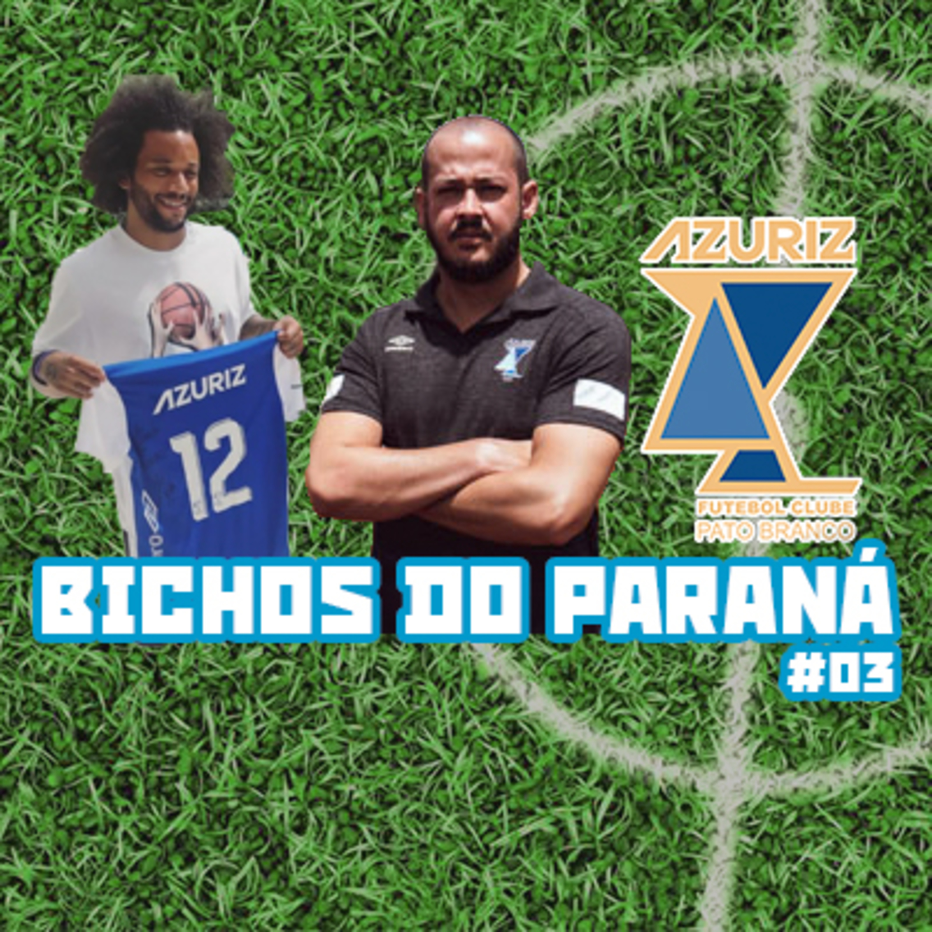Bichos do Paraná
