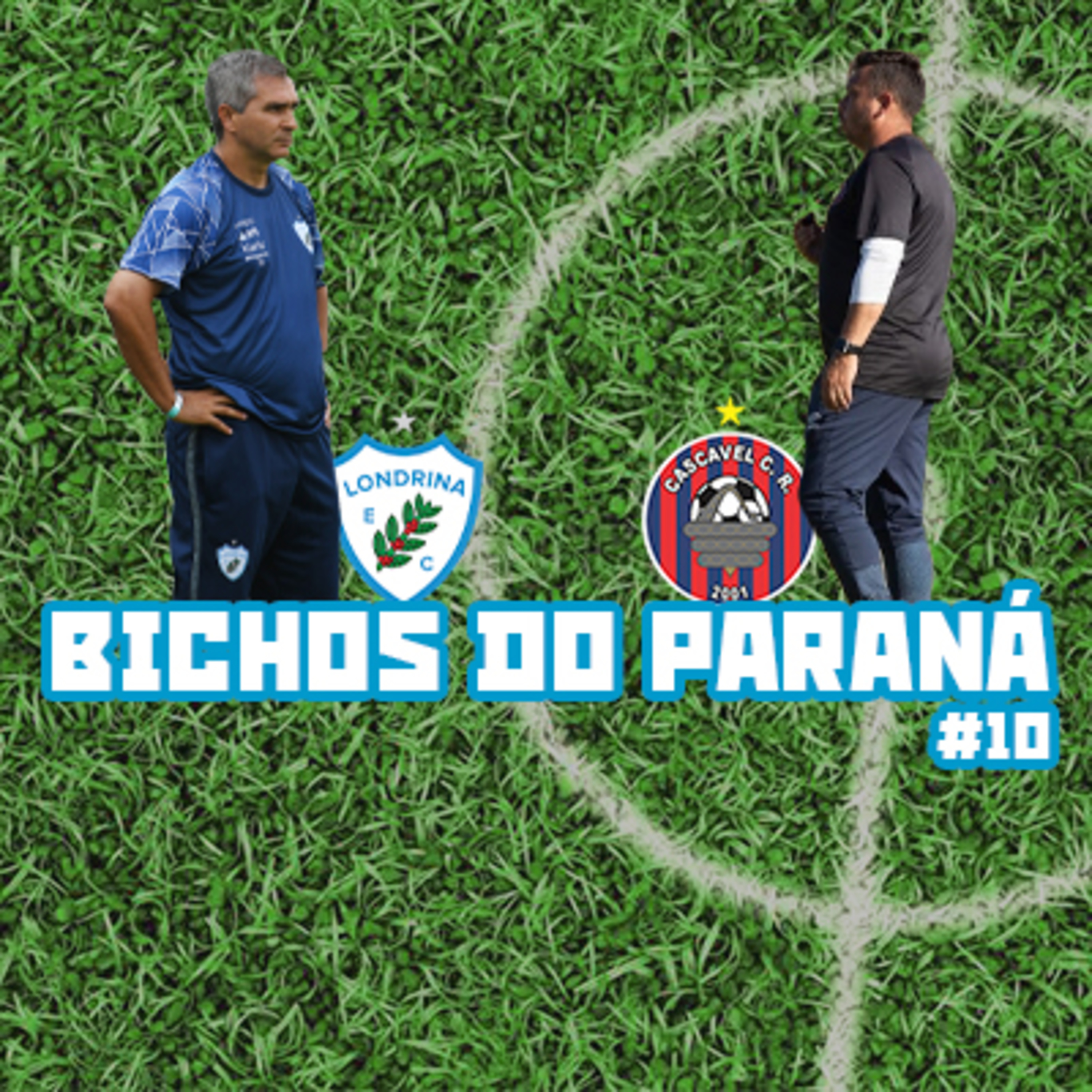 Bichos do Paraná