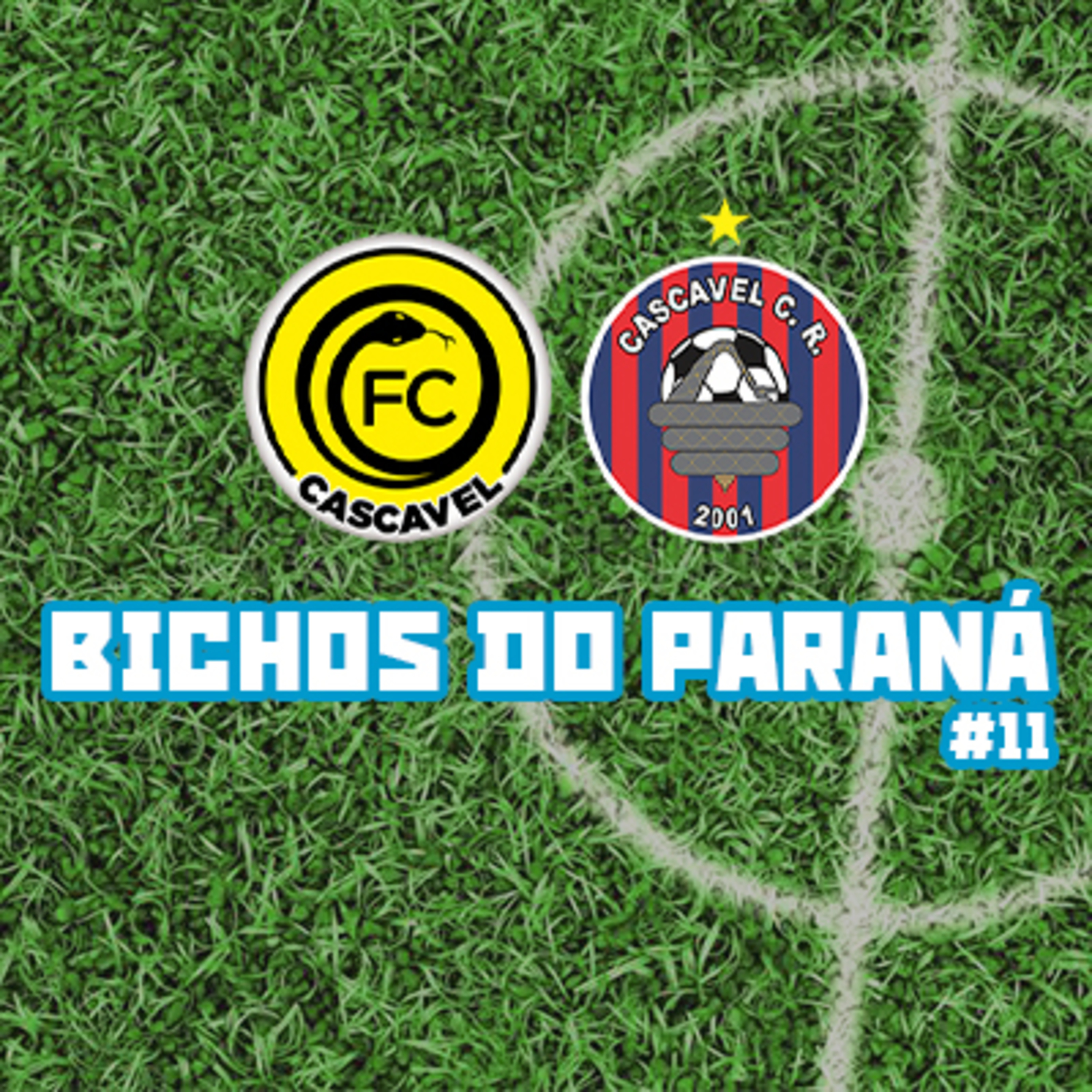 Bichos do Paraná
