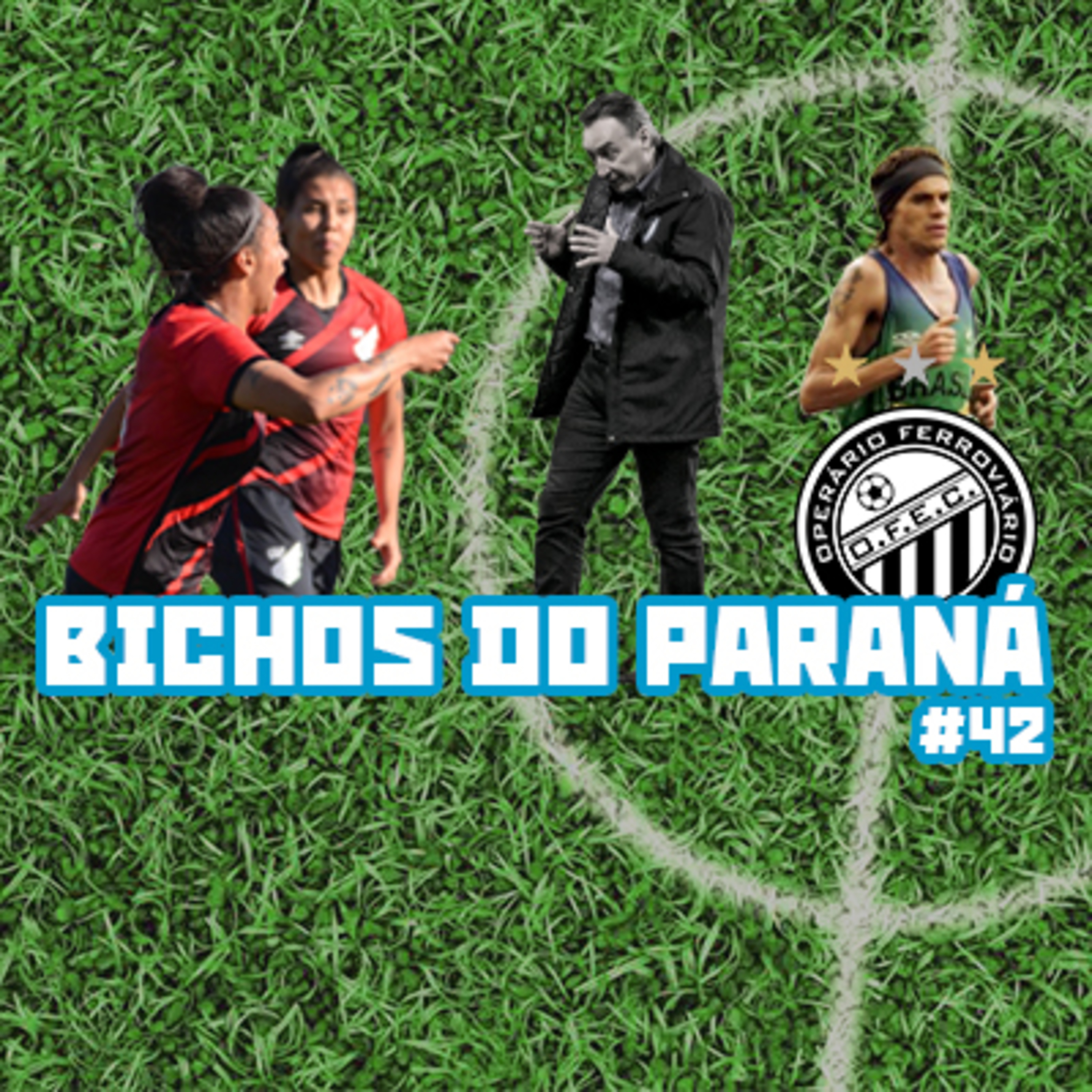 Bichos do Paraná