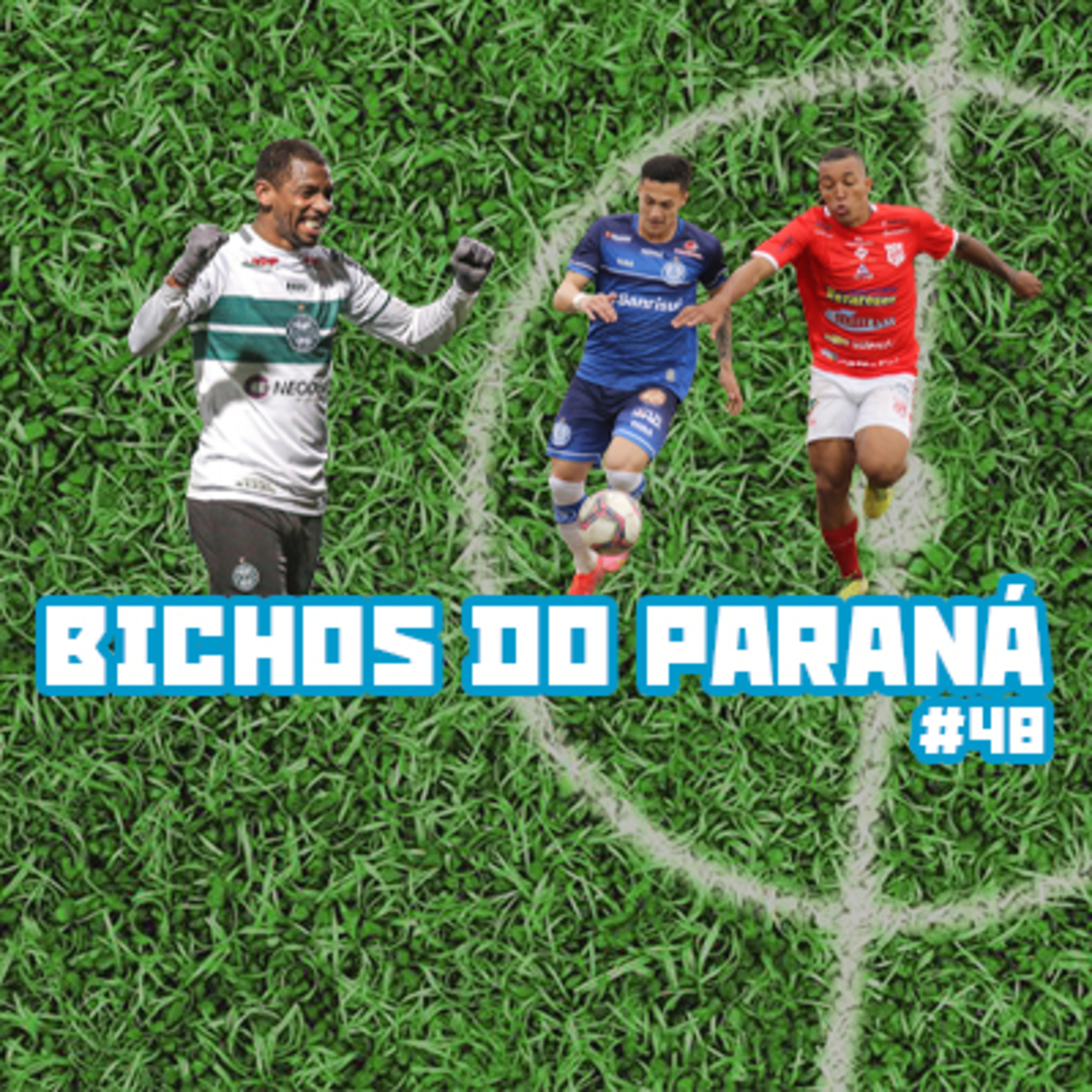 Bichos do Paraná