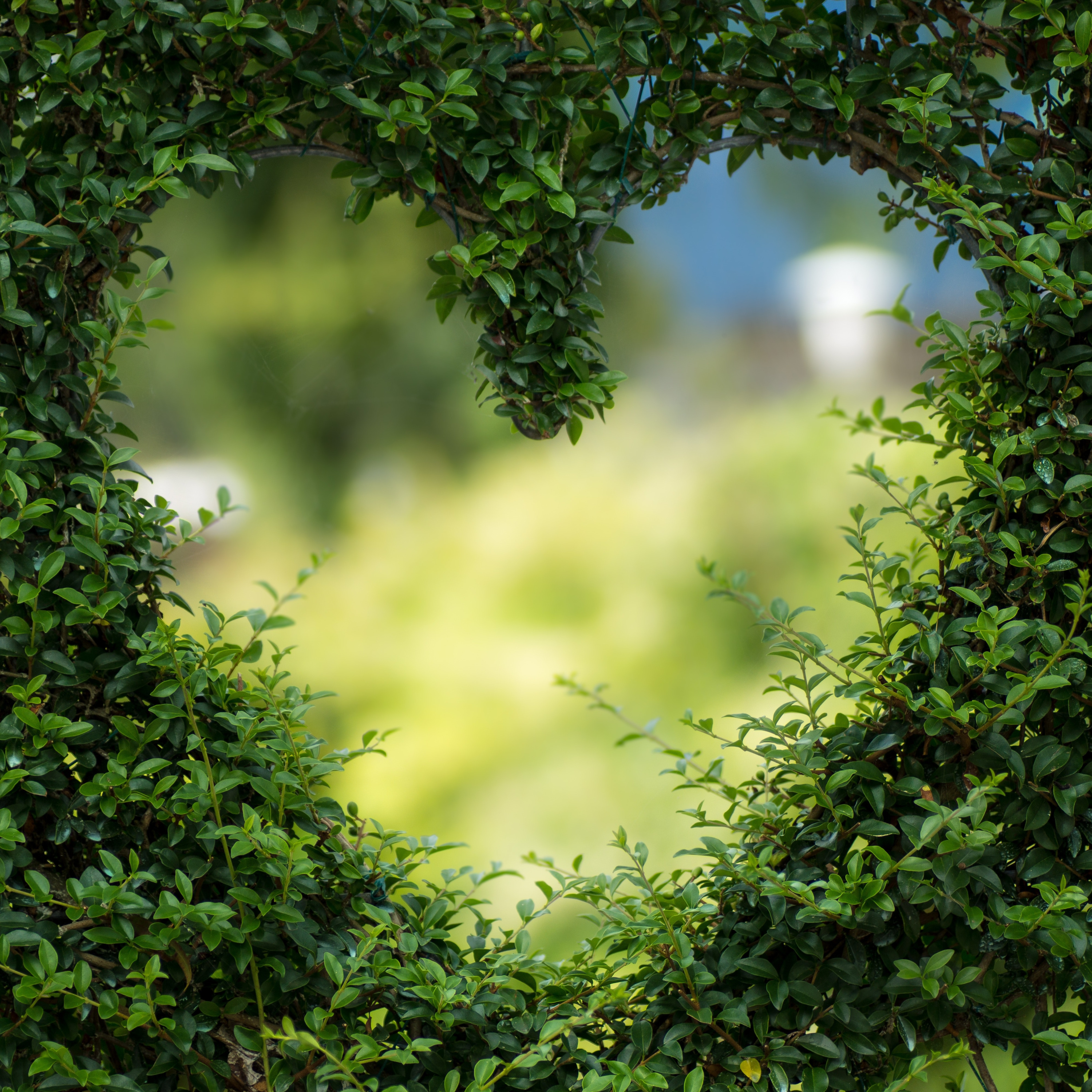 Living a Life of Oneness - With Cindy Bowen
