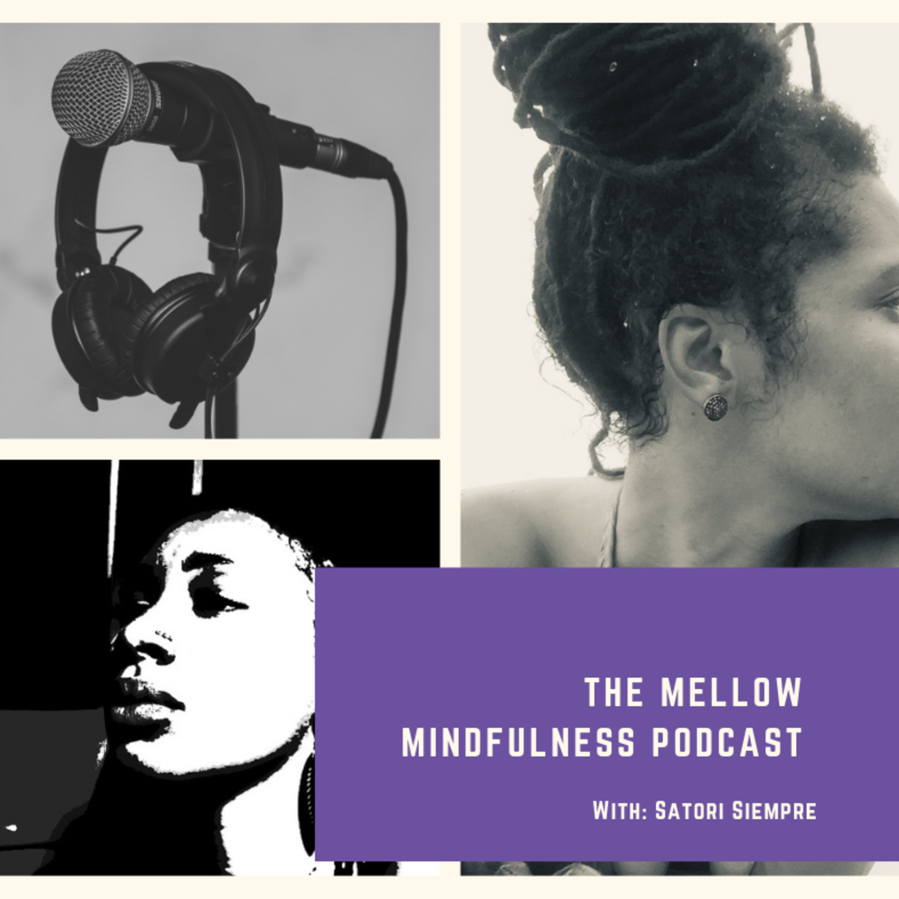 Ep. 9 Mellow Mindfulness ( New level new devil ) episode artwork