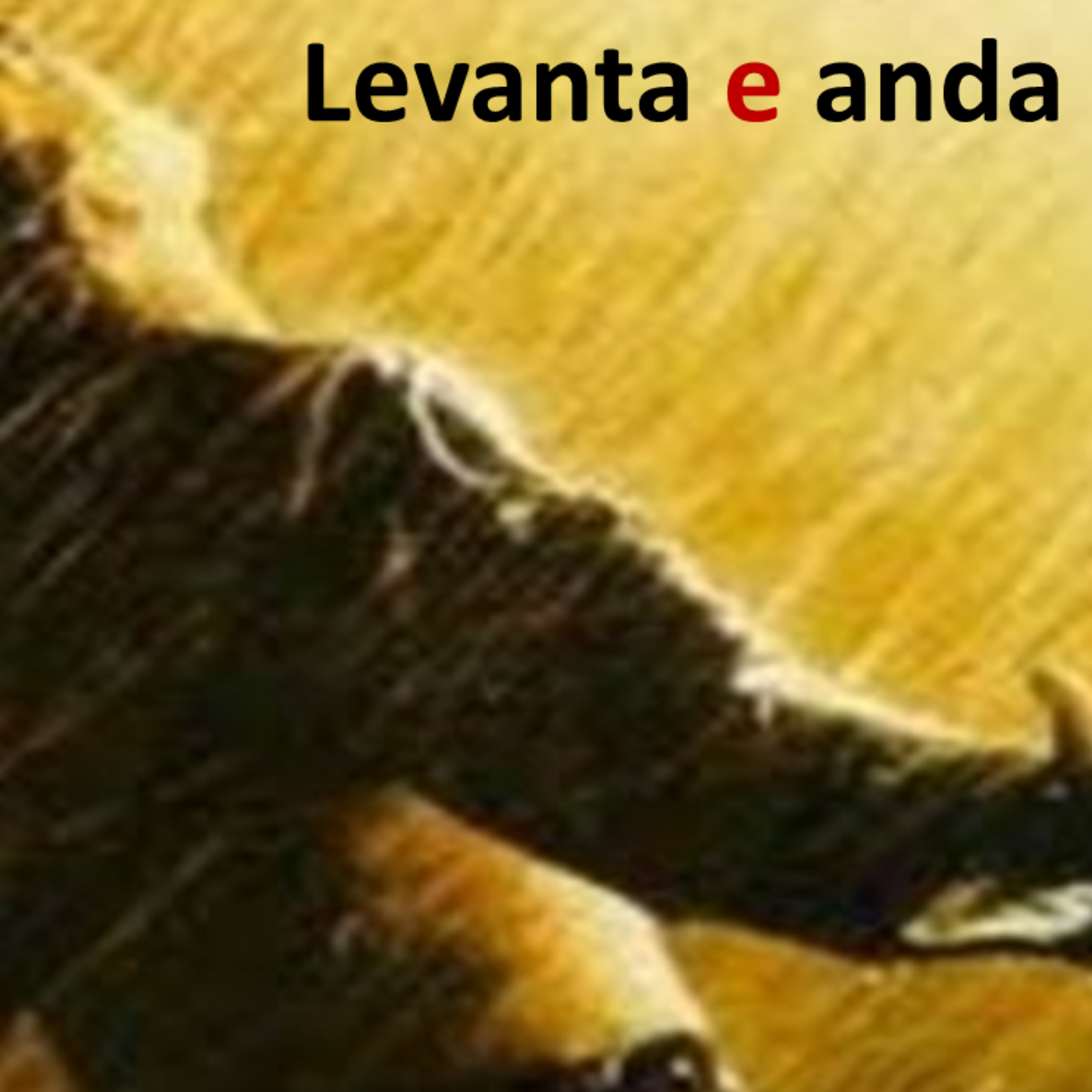 Manolo Quesada Palestrante