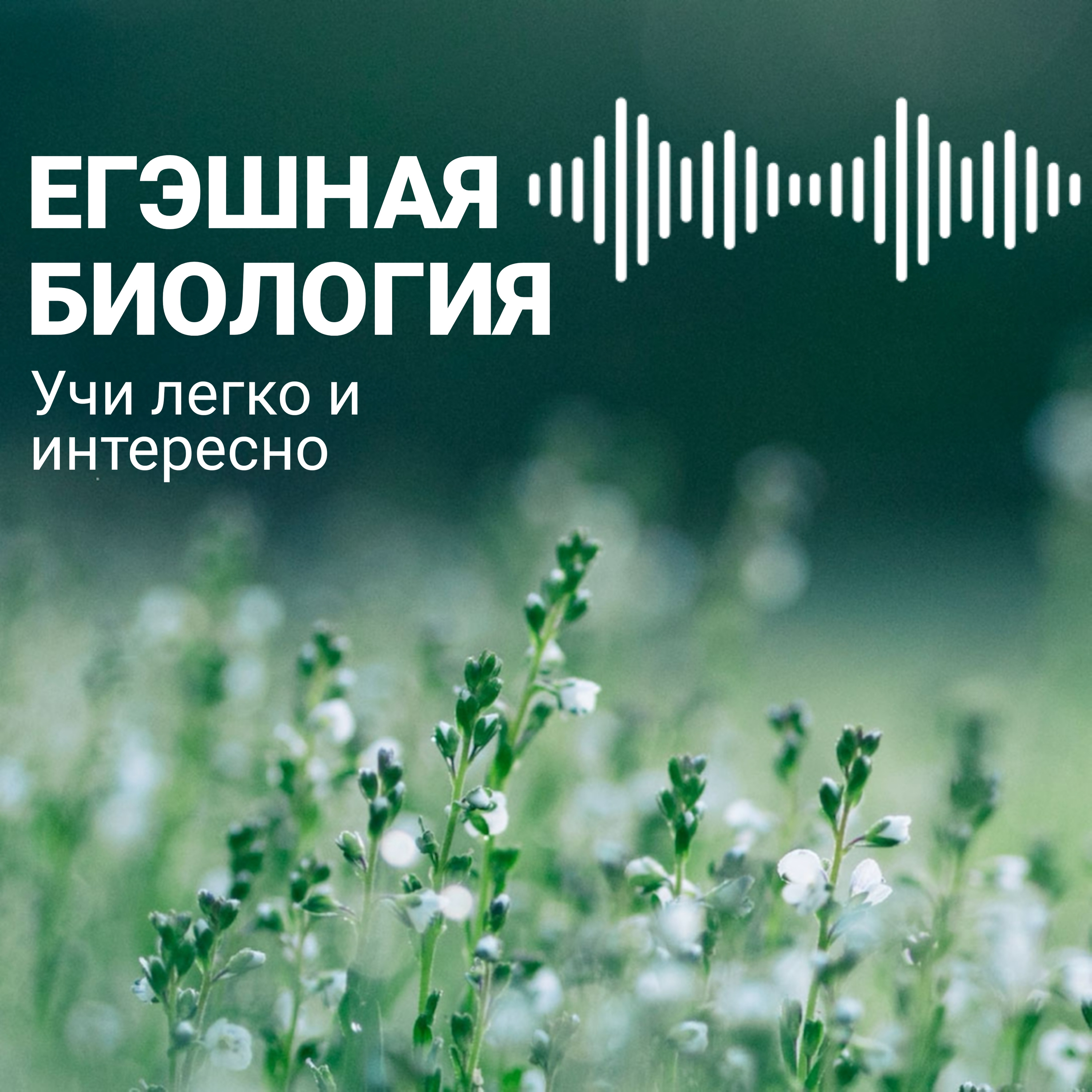 Трейлер подкаста/Давай знакомиться 