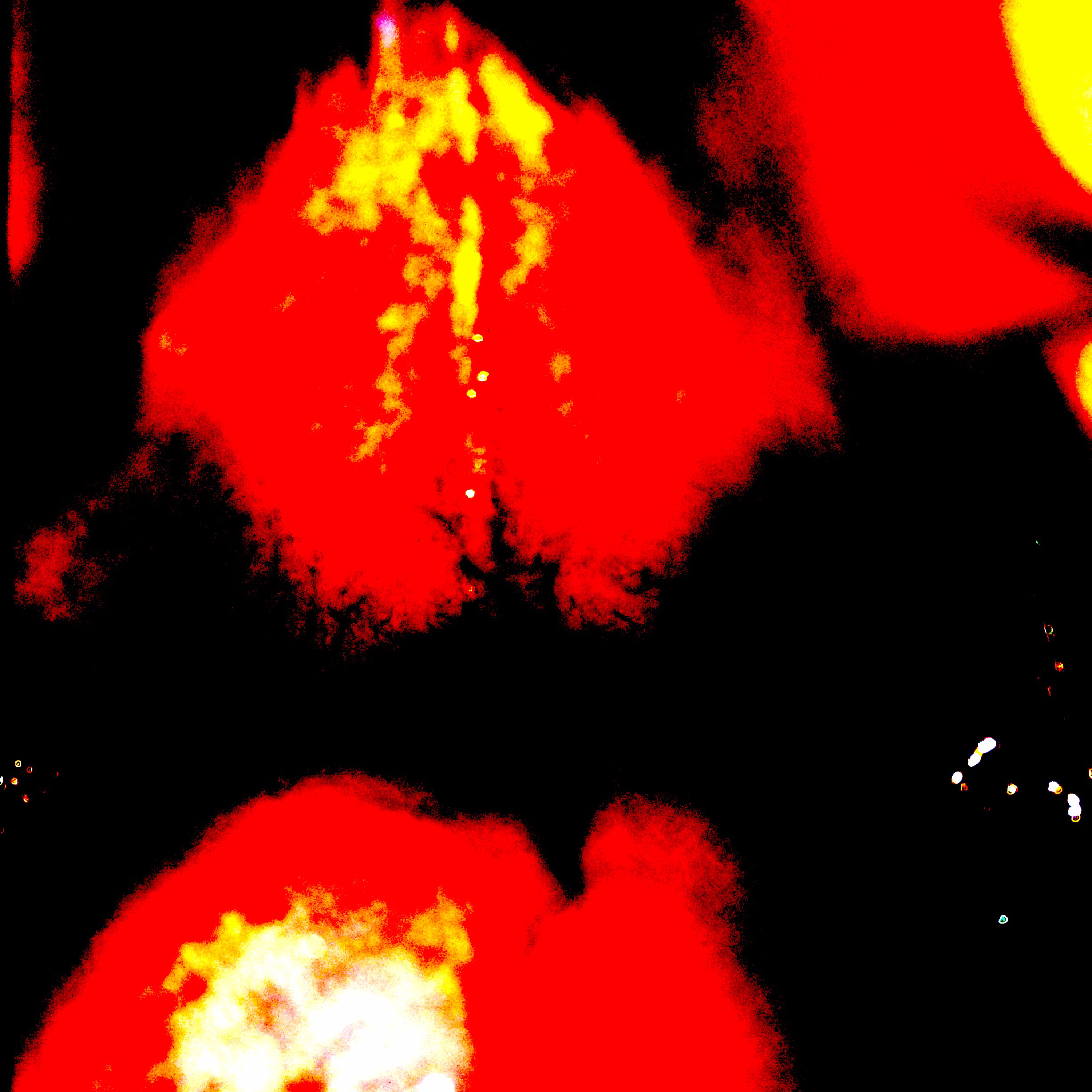 Chonkiando Poetría The Audiobook episode artwork