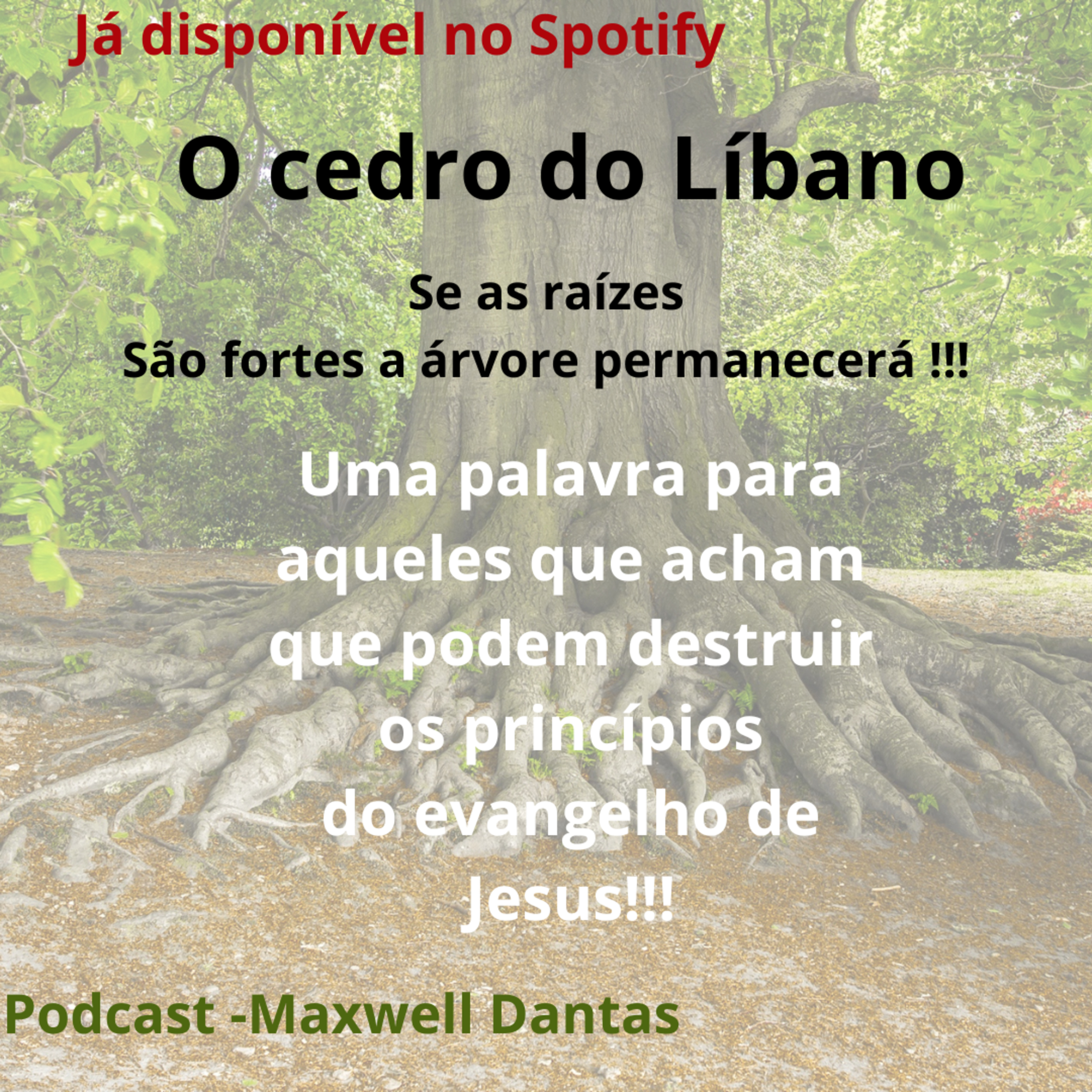 O cedro do Líbano  episode artwork
