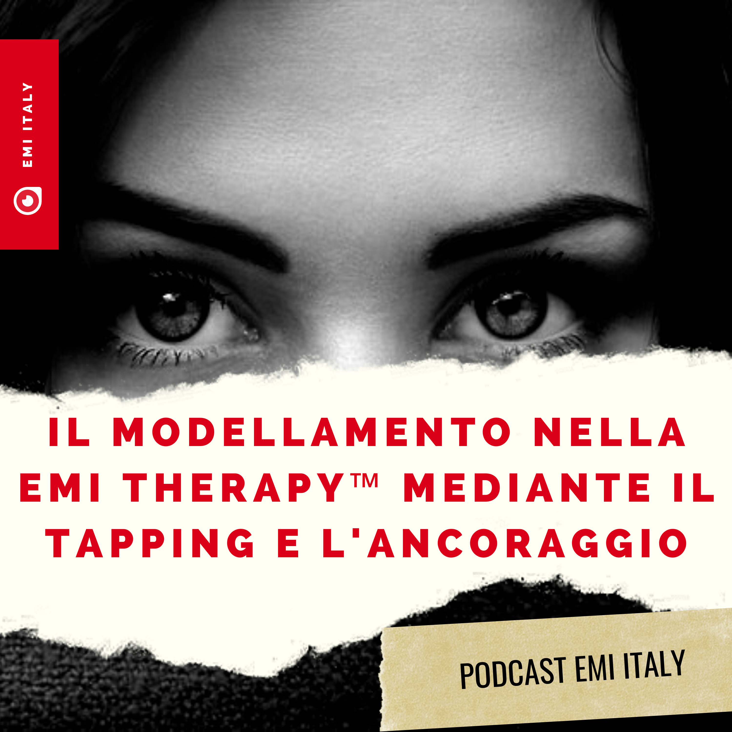 Il Modellamento e l'installazione delle risorse nella EMI Therapy  episode artwork