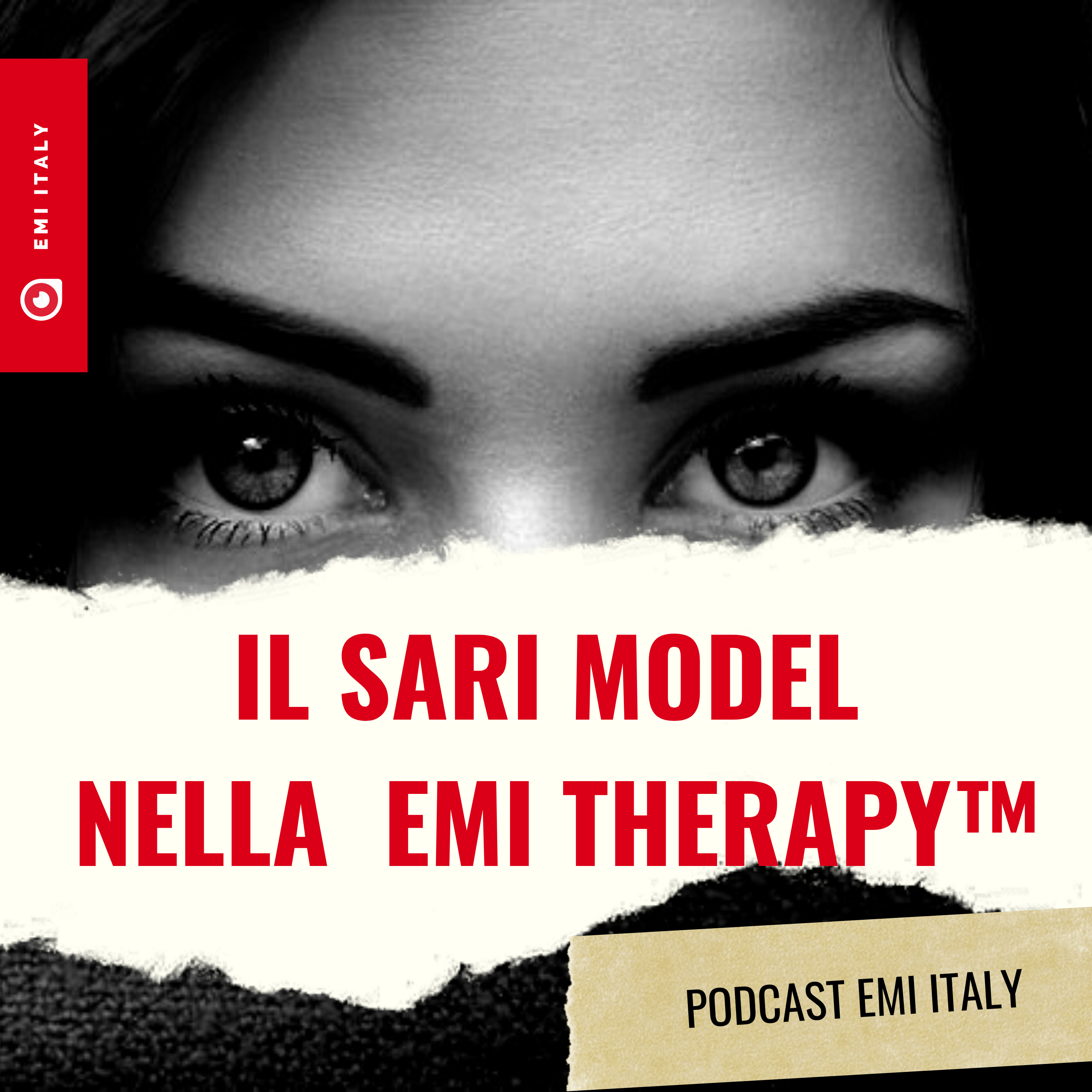 Il SARI model applicato alla EMI Therapy ™. È un modello Universale nel trattamento del trauma.  episode artwork