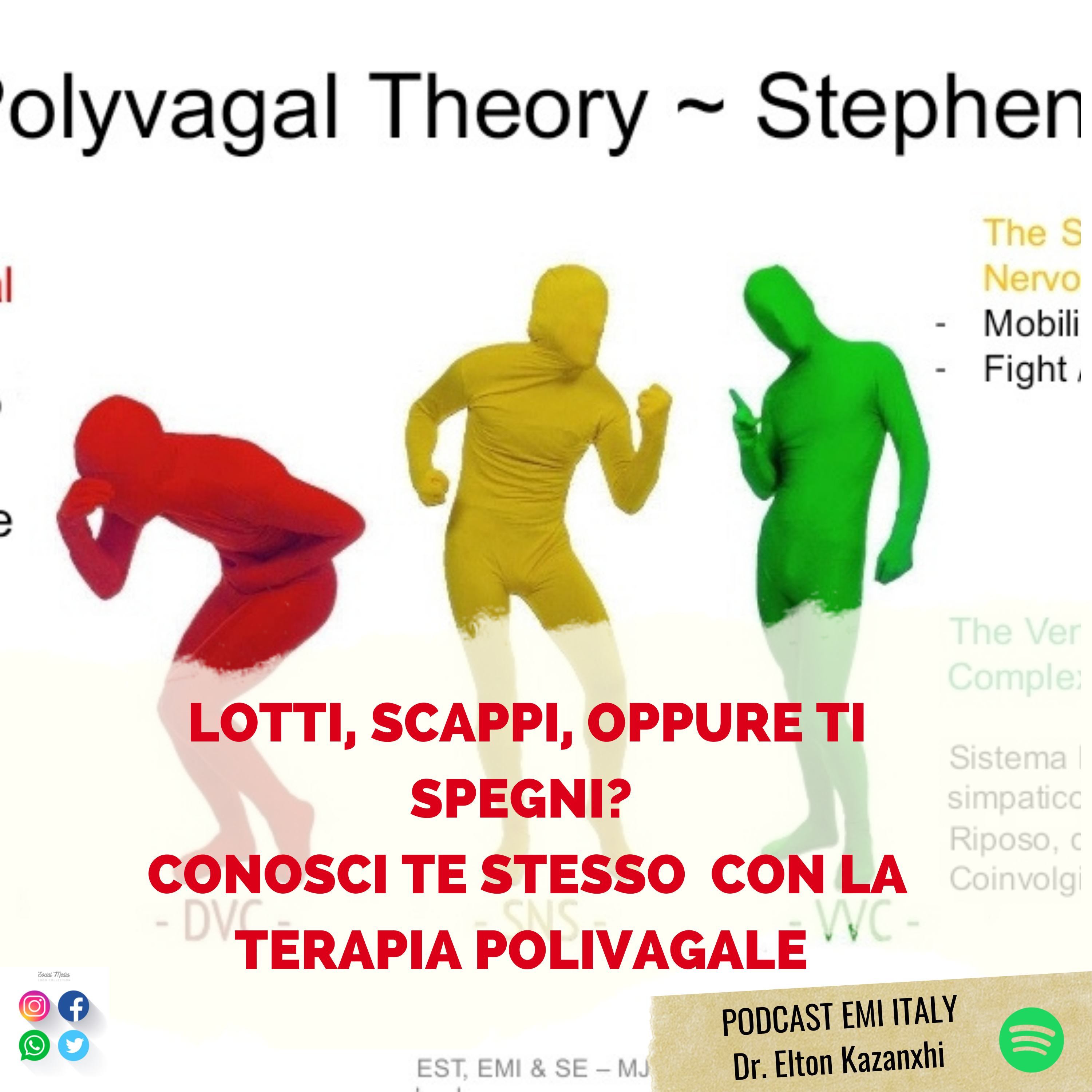 Scappi, lotti oppure ti spegni? Come. applicare la terapia Polivagale a se stessi.  episode artwork