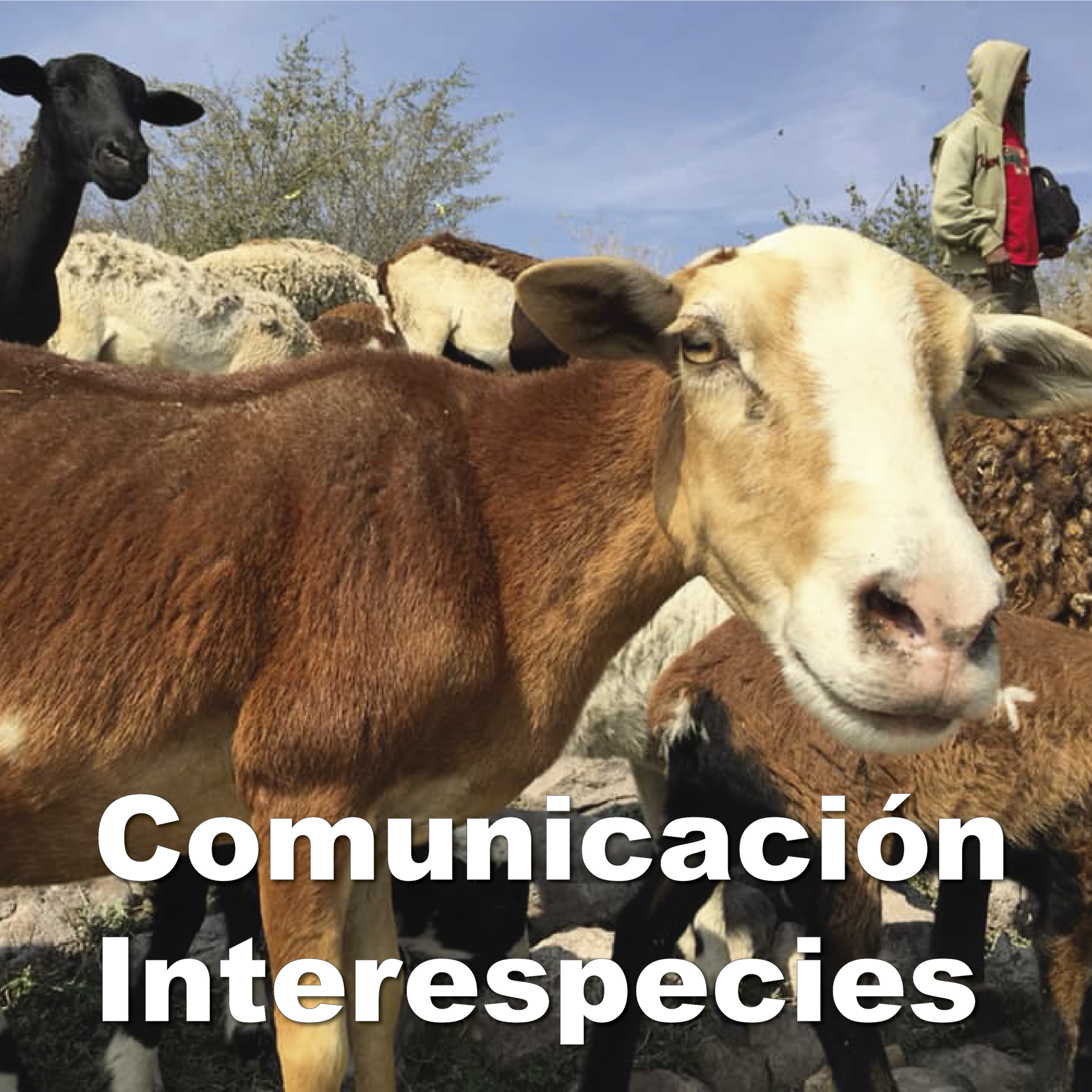 Historias Cotidianas Mx