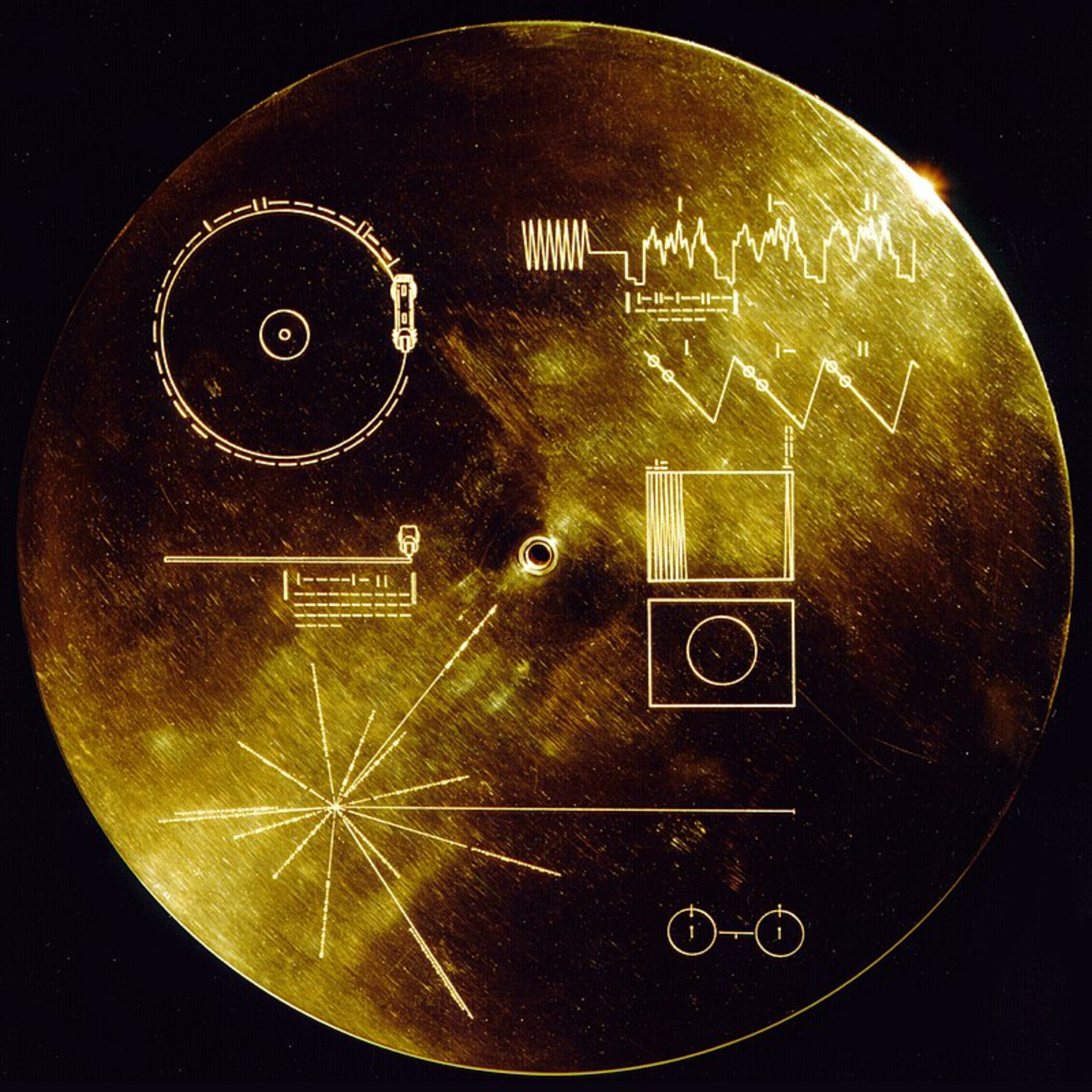 5. Educación episode artwork