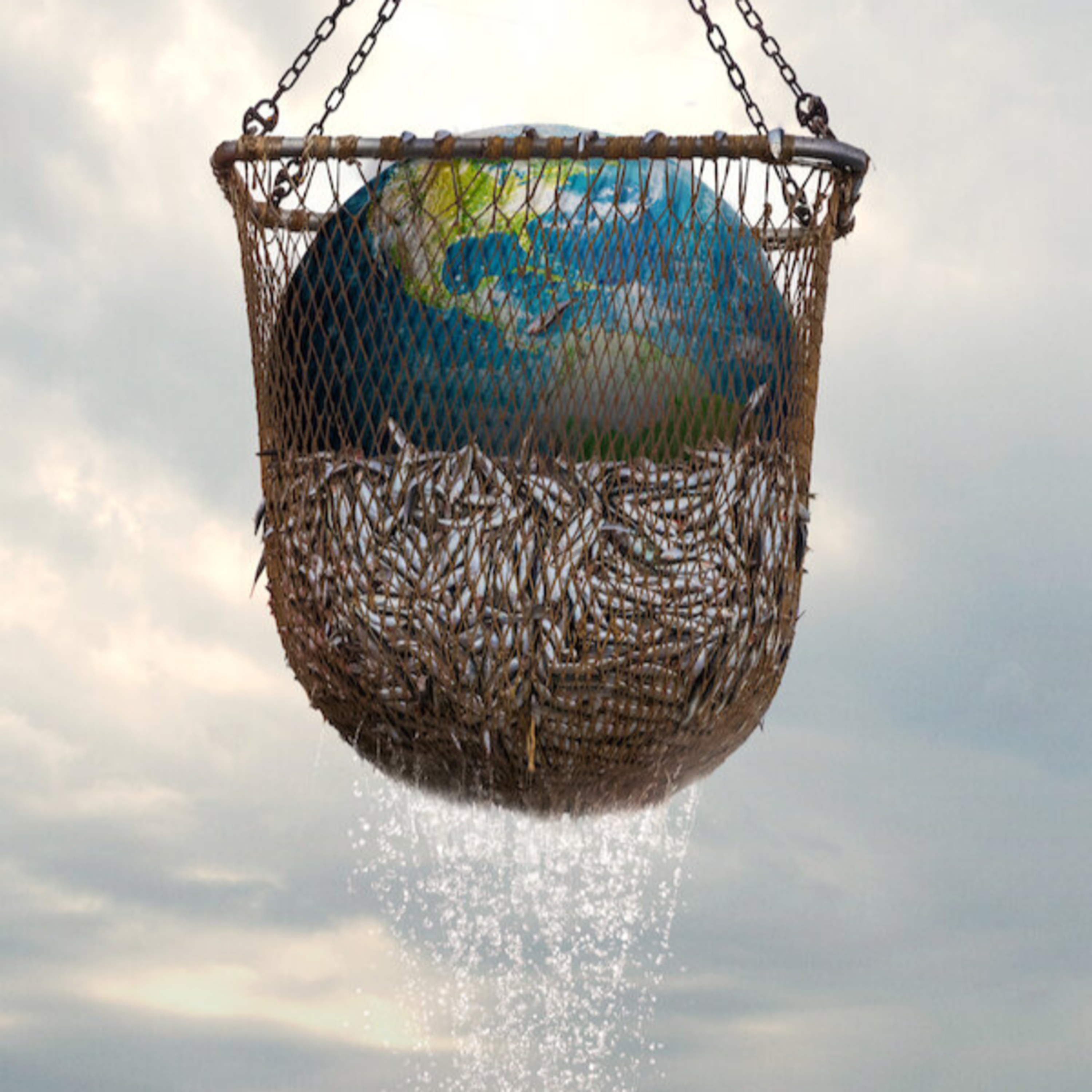 6. Naturaleza y Ecología