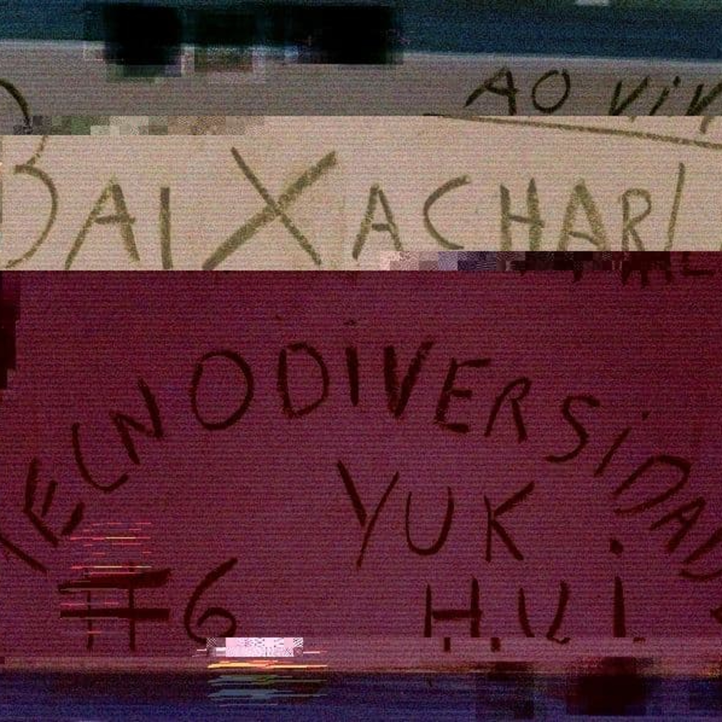 BaixaCharla #6: Tecnodiversidade, Yuk Hui episode artwork