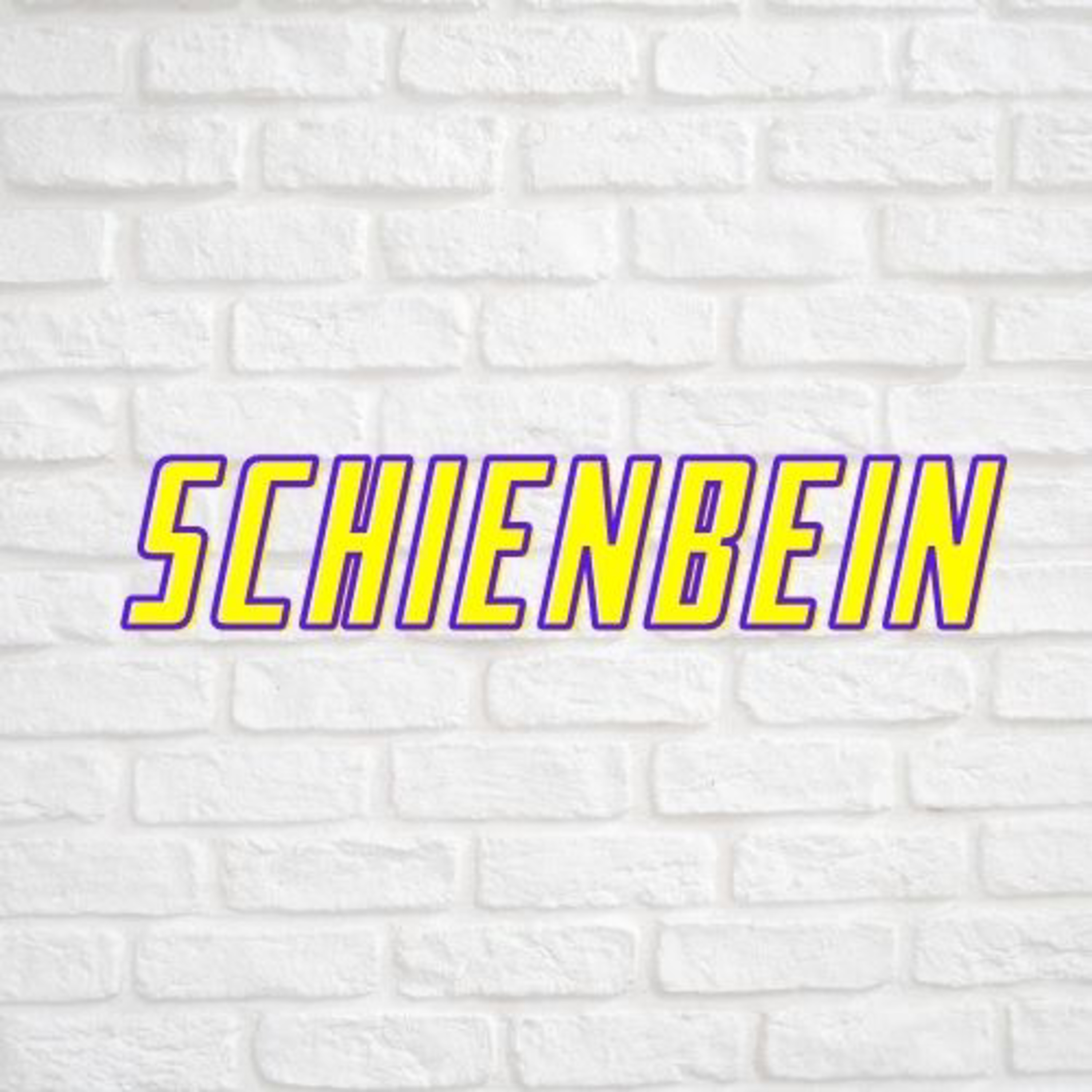 Puzzles - Der Anime Podcast