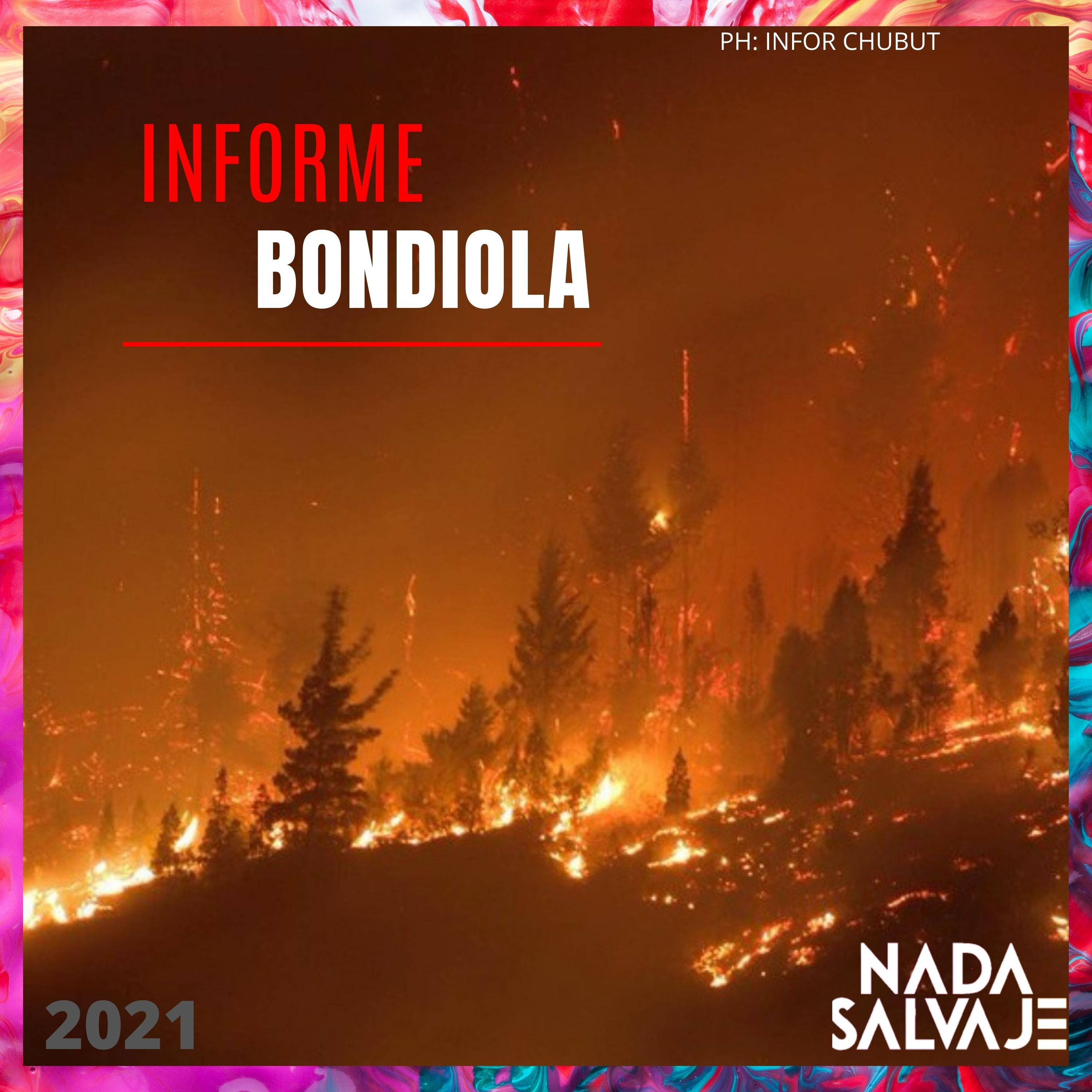 Nada Salvaje Radio