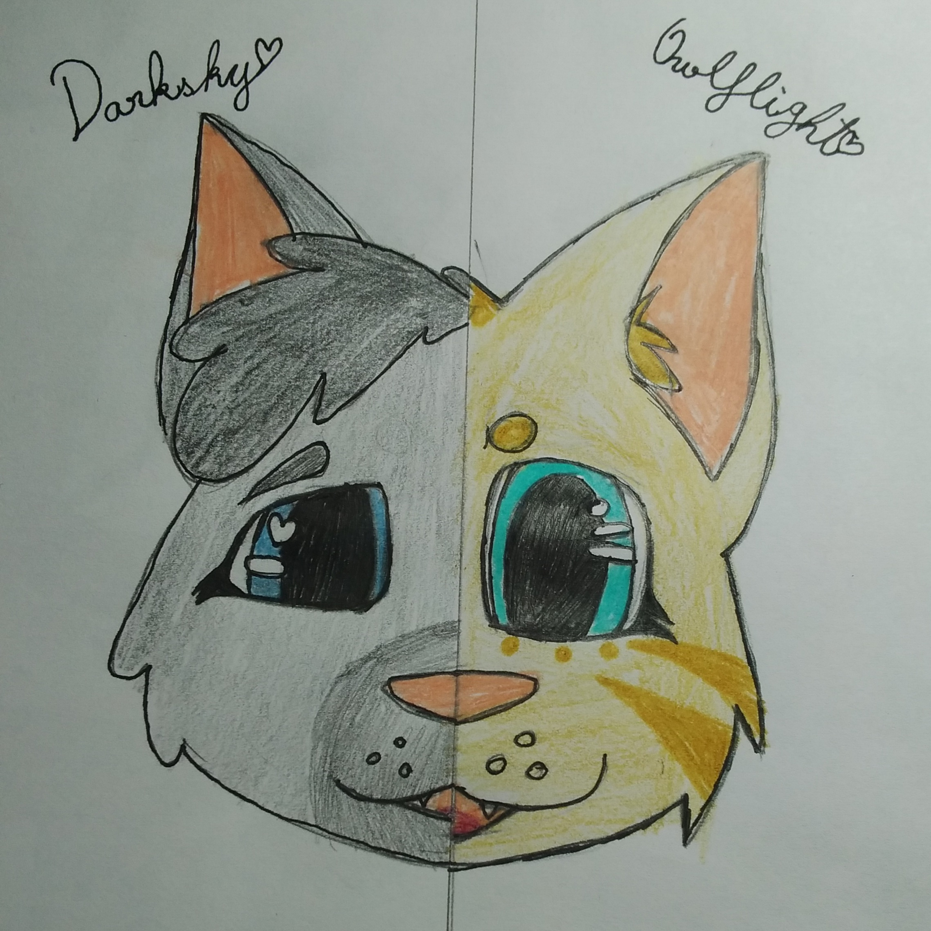 WARRIOR CATS: GONE WILD!