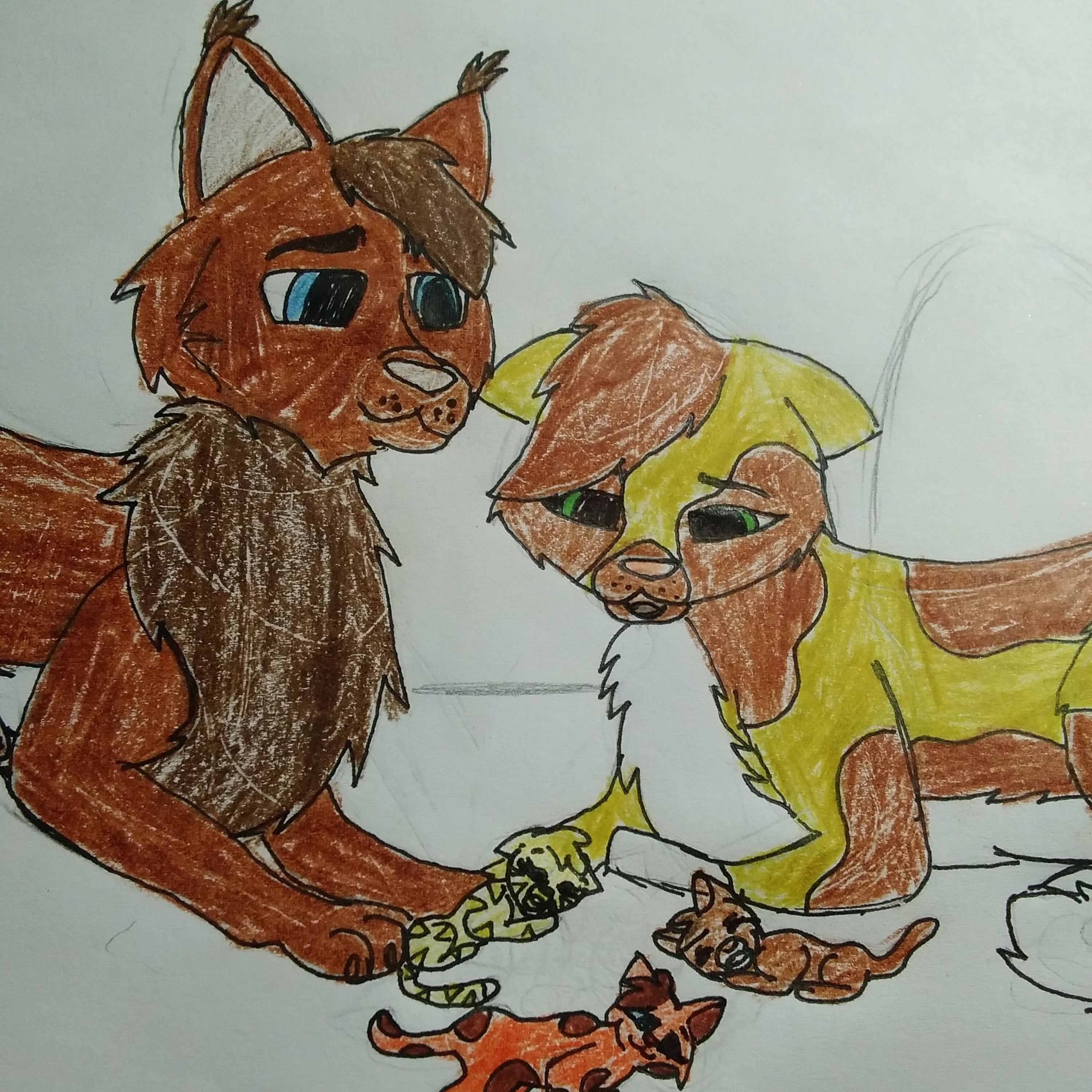 WARRIOR CATS: GONE WILD!