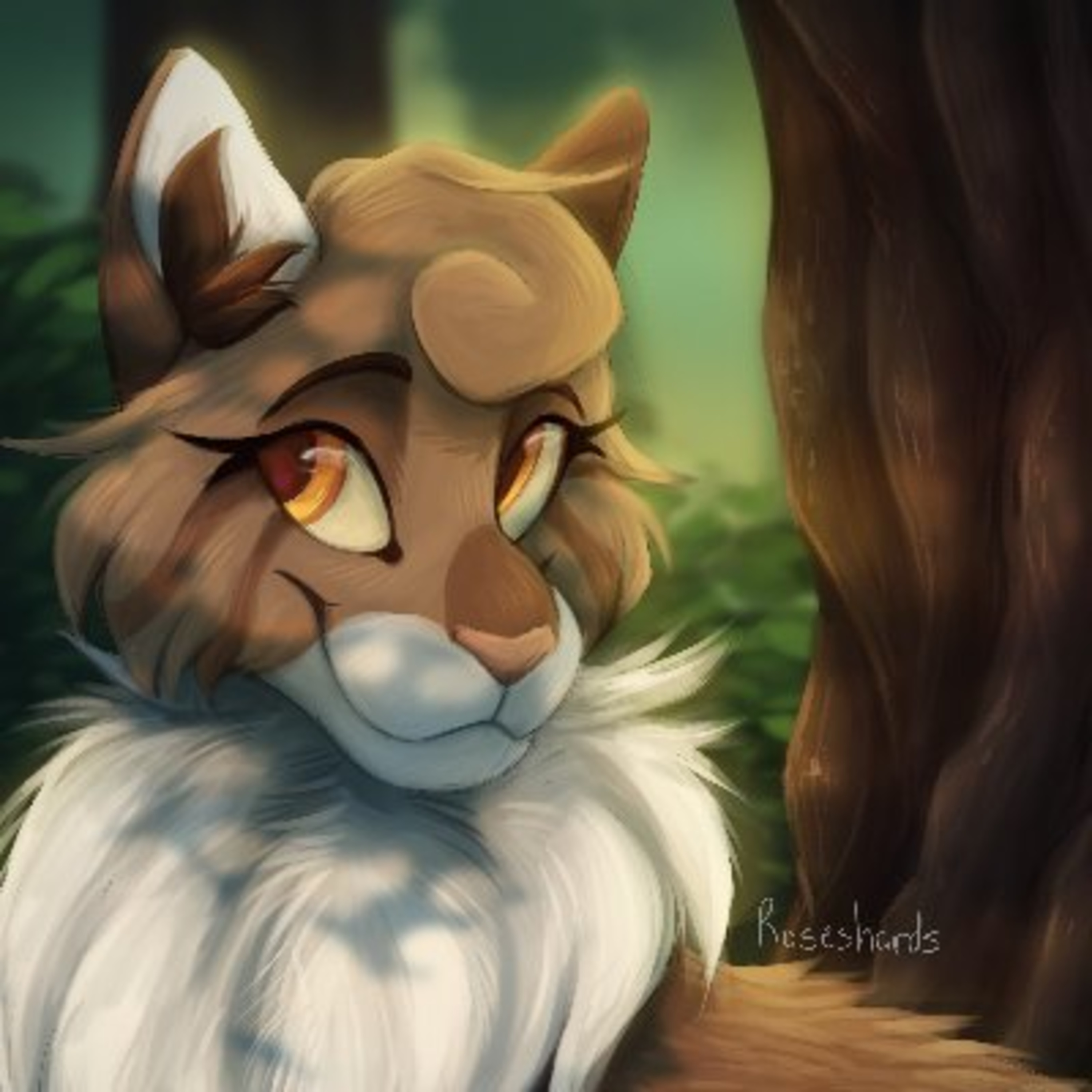 WARRIOR CATS: GONE WILD!
