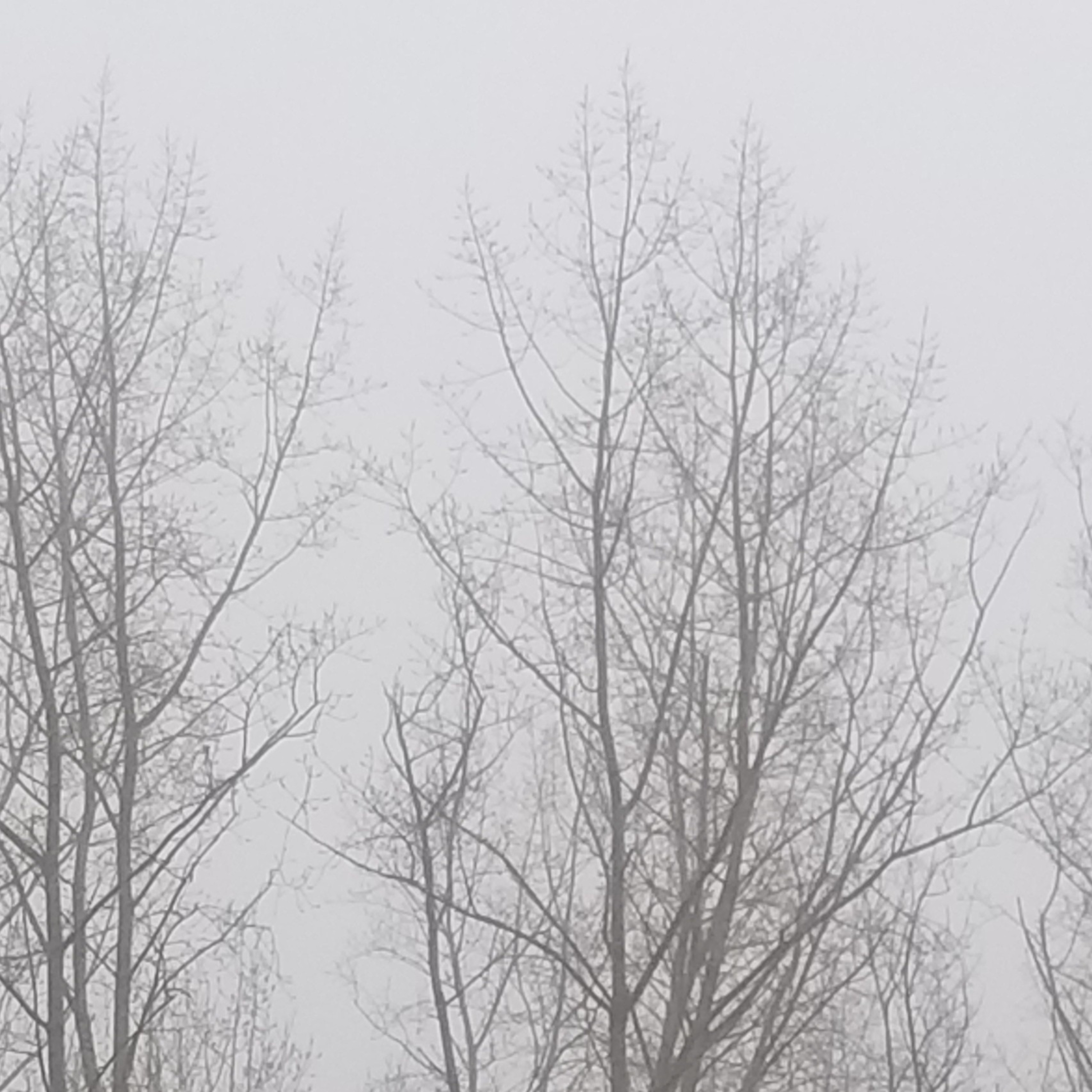 Today's weather diary March3rd2021 (unedited) episode artwork