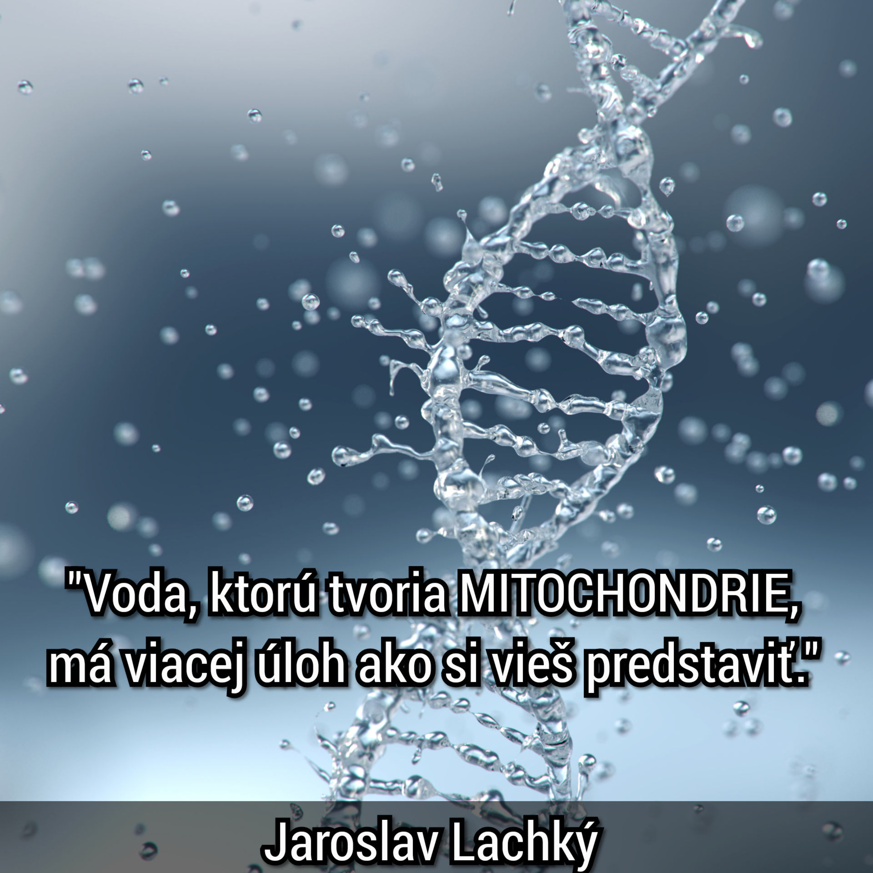 PODCAST | Jaroslav Lachký