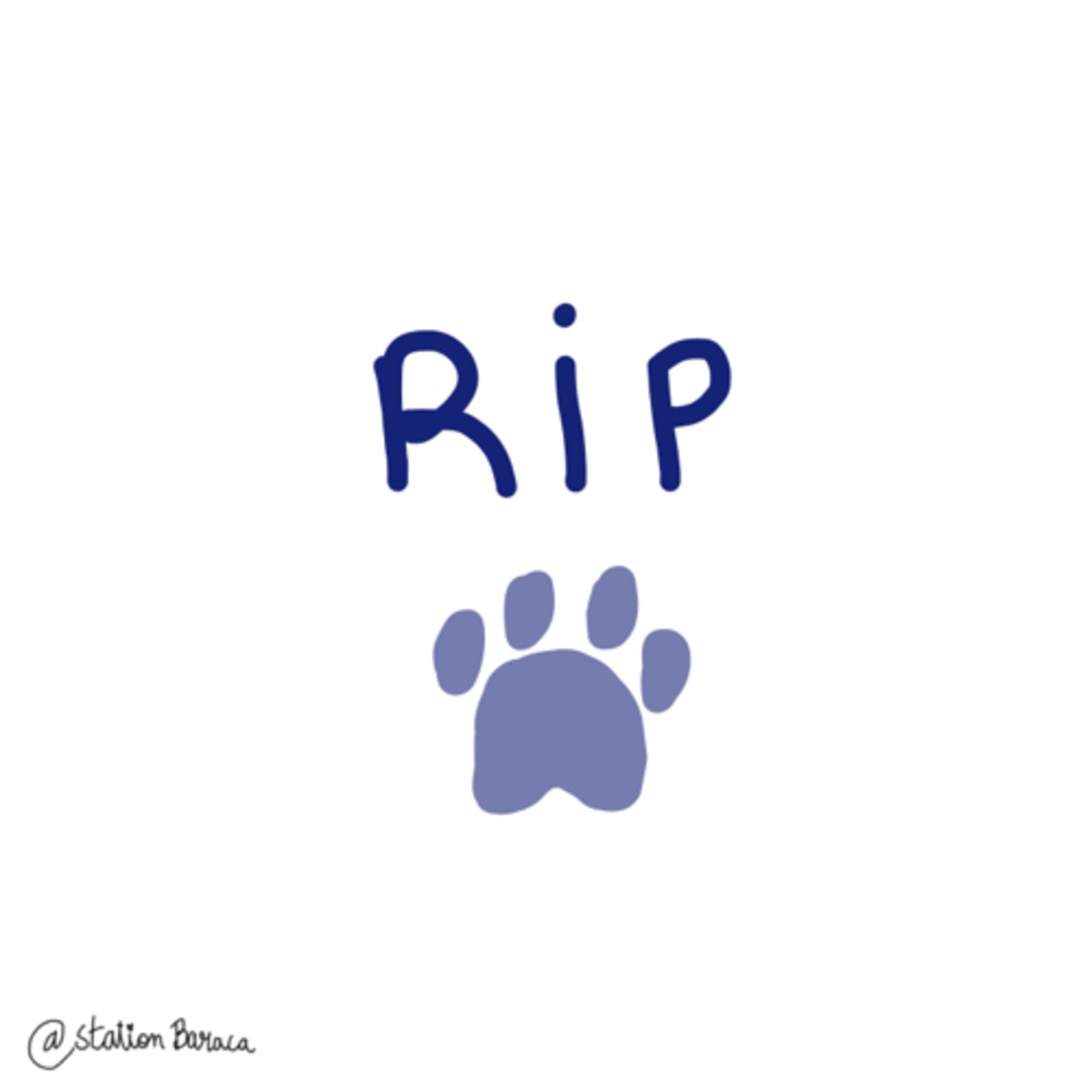 le deuil de son animal, trop dur (promis je pleure pas) partie 1