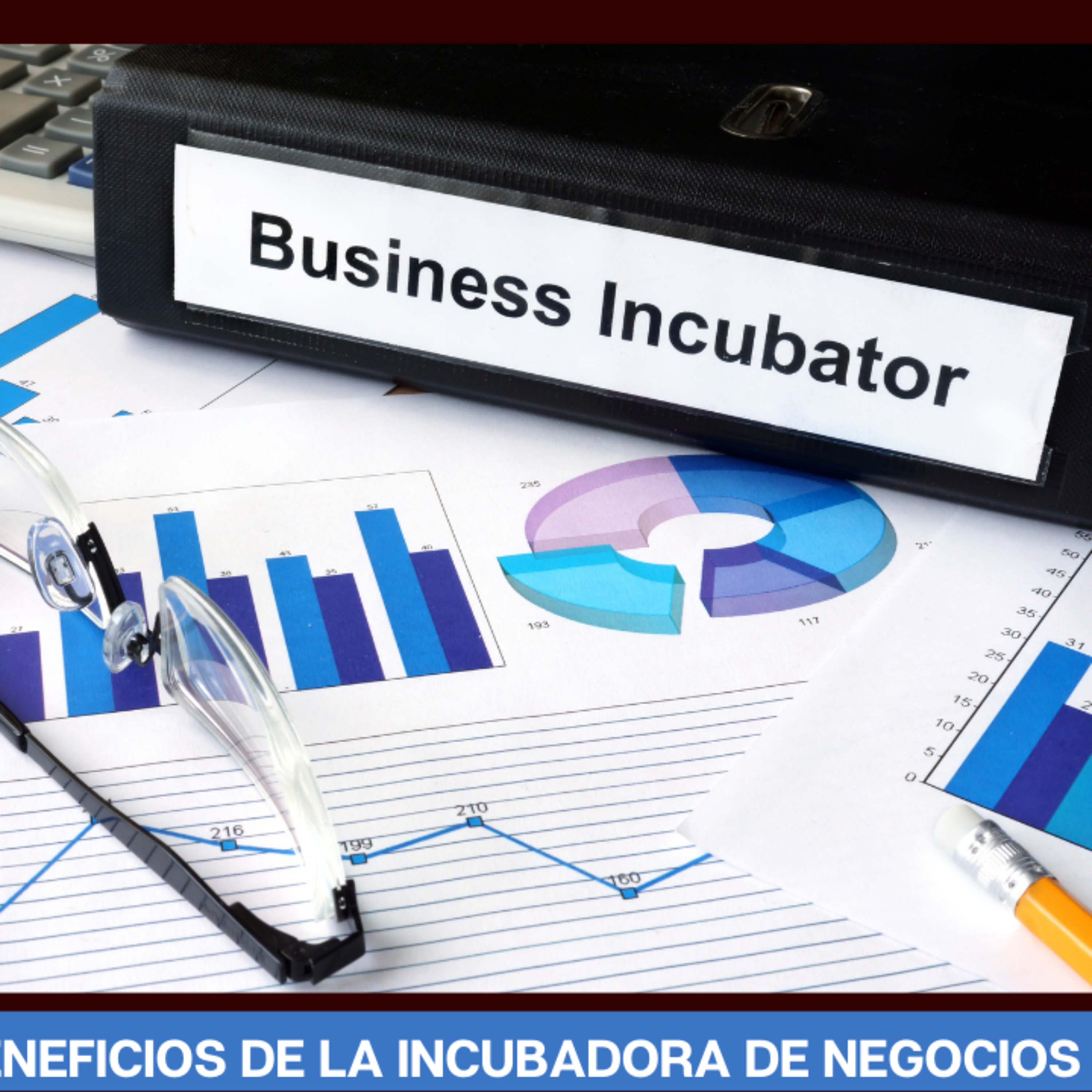 Inversionista Sin Vergüenza