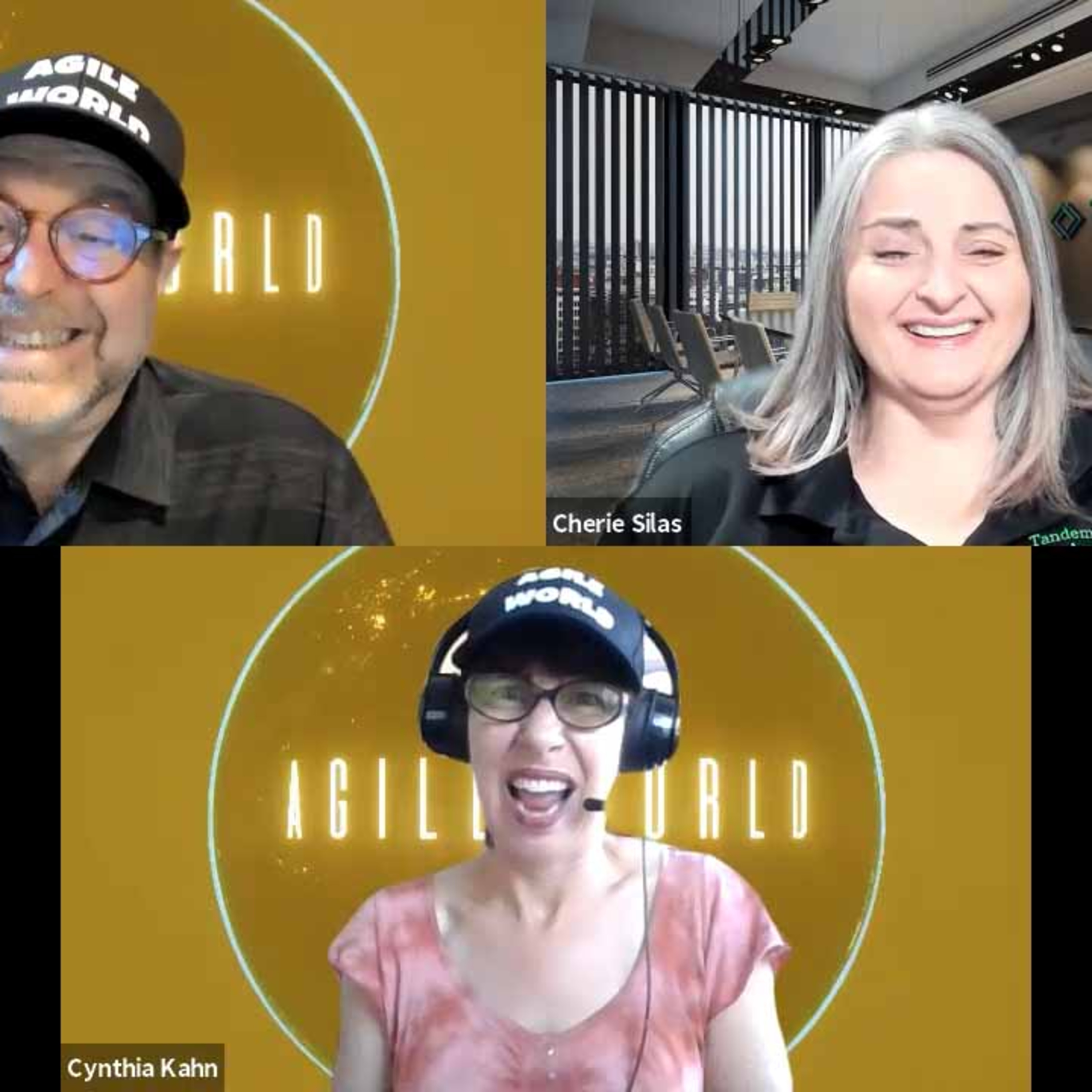 Agile World Podcast