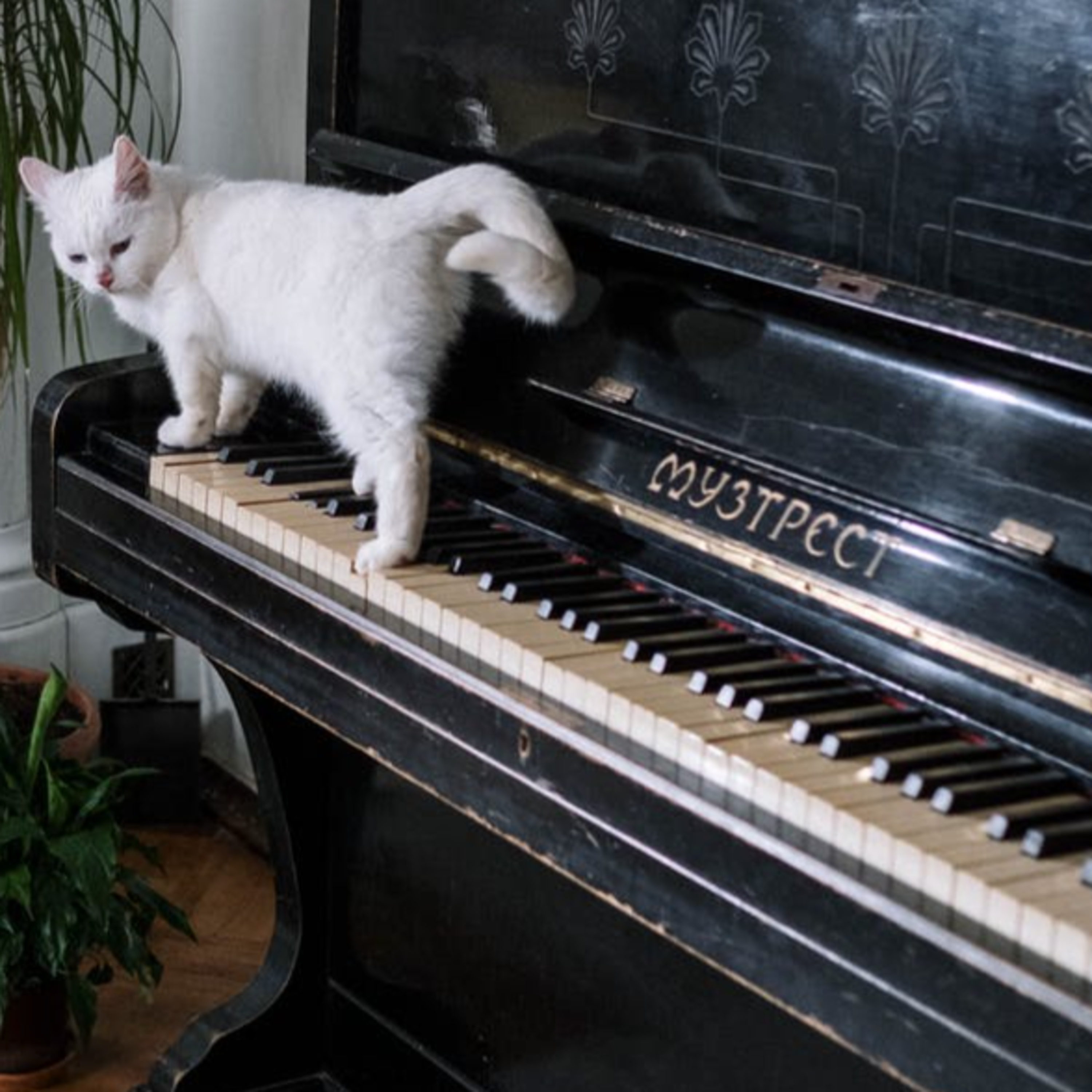 Piano: A Retrospect episode artwork