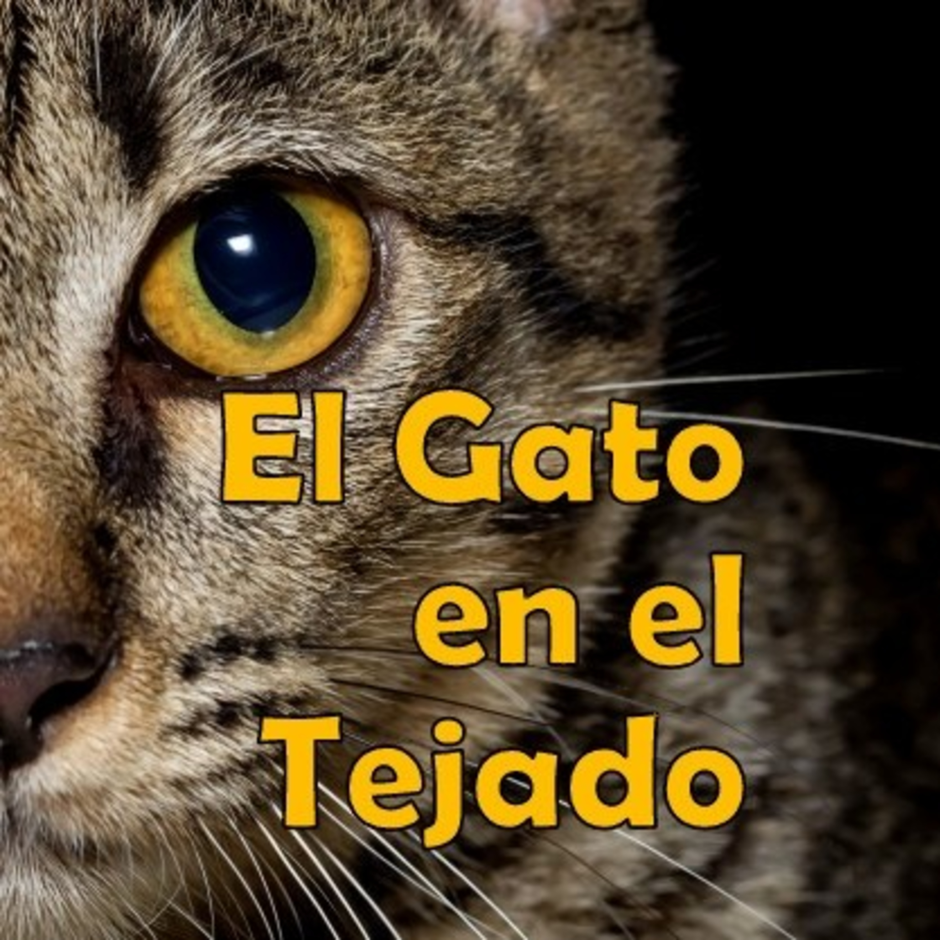 EL GATO EN EL TEJADO 25 DE MARZO episode artwork