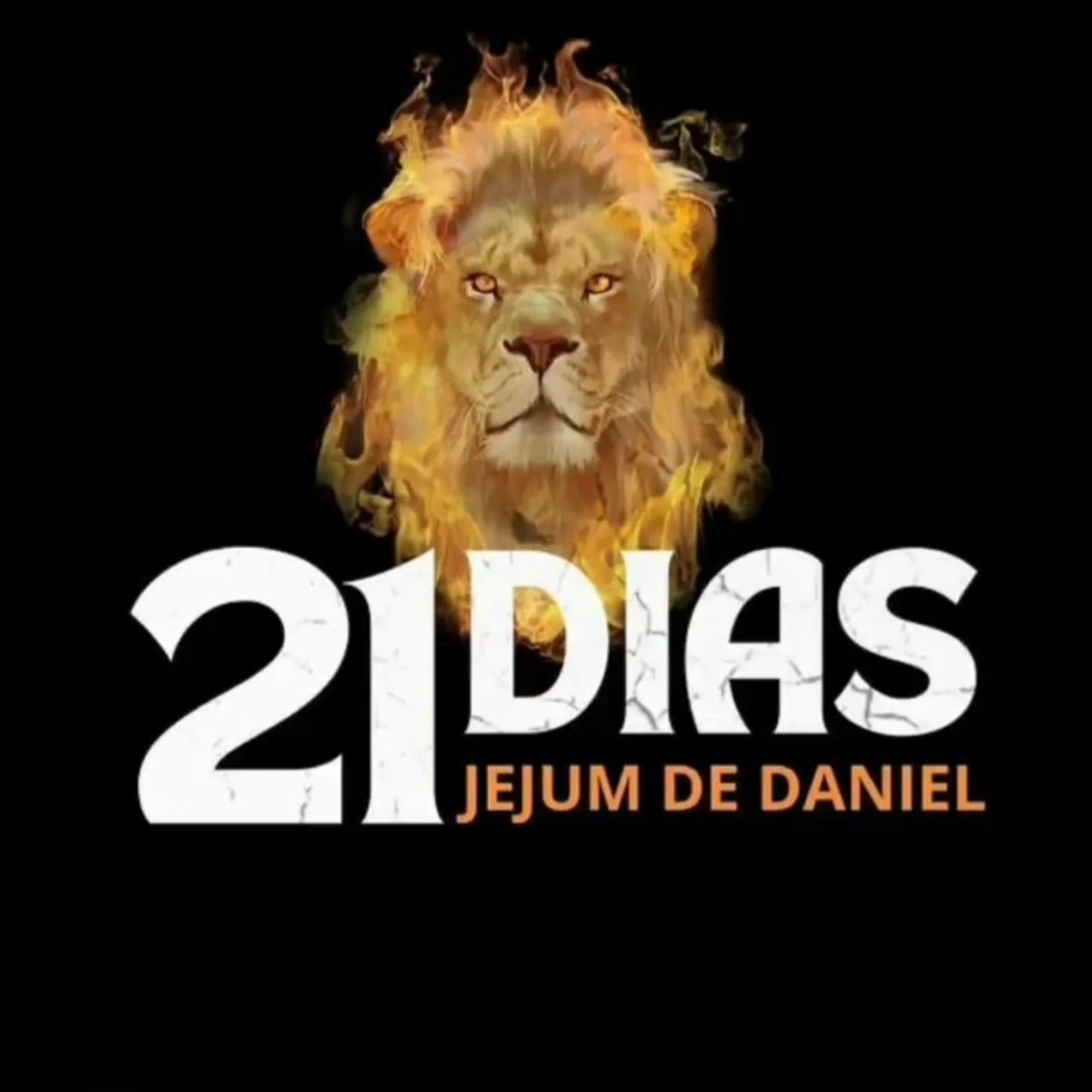 Suzana Queiroz e Você