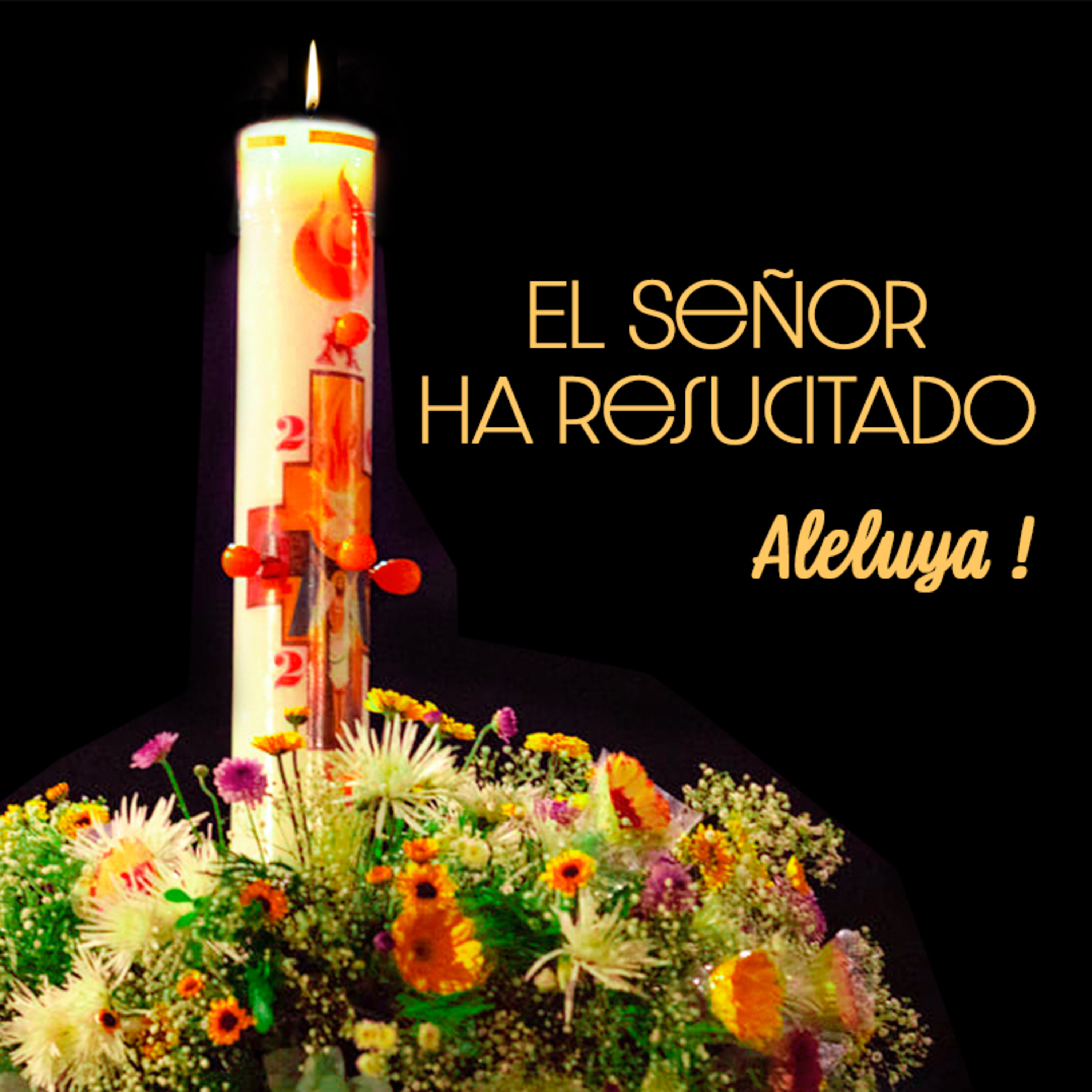 Padre Neftalí Rogel