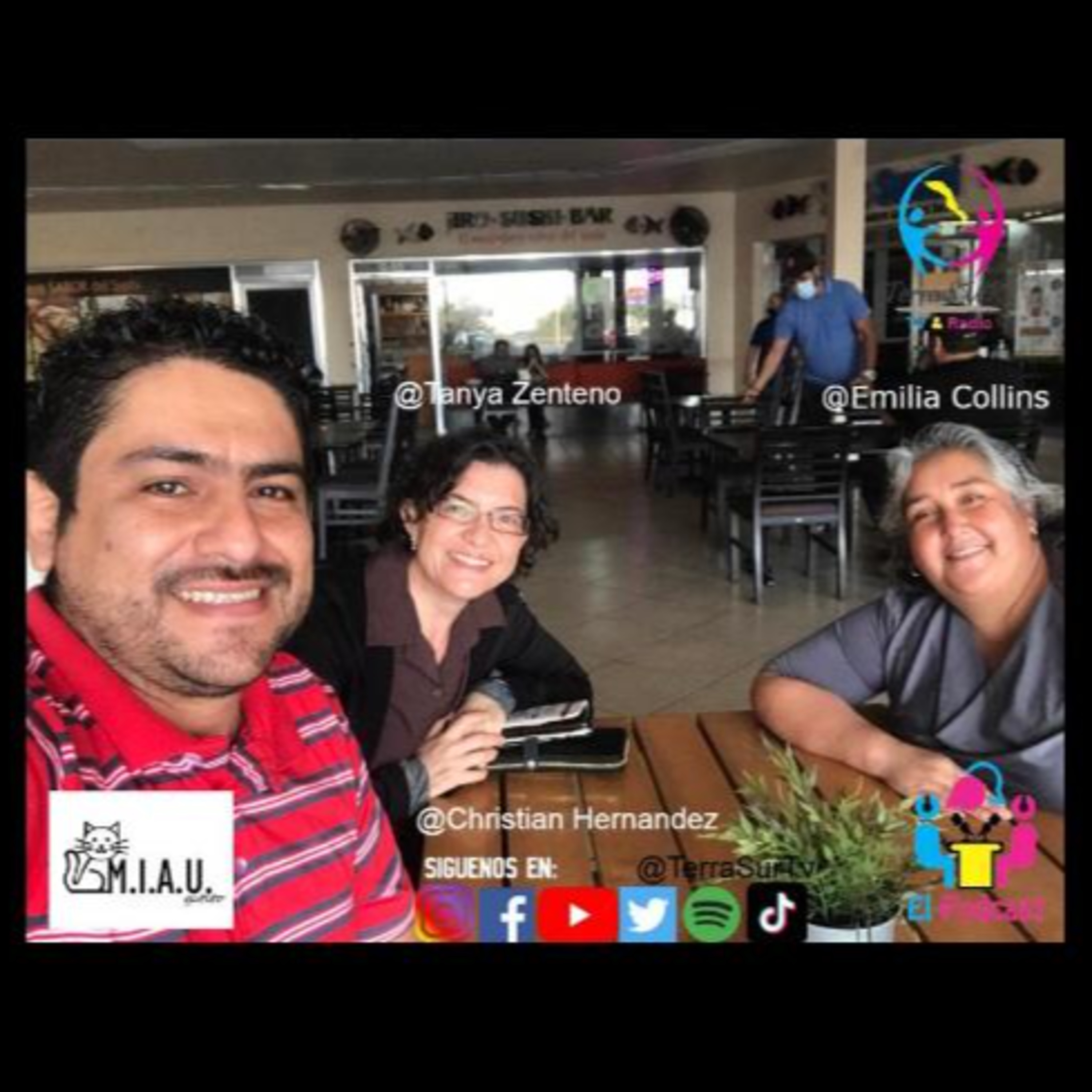 El Podcast #2 TerraSUR TV & Radio con MIAU GATITO A.C. una organización que ayuda a gatos callejeros y de casa en La Paz BCS Mexico episode artwork