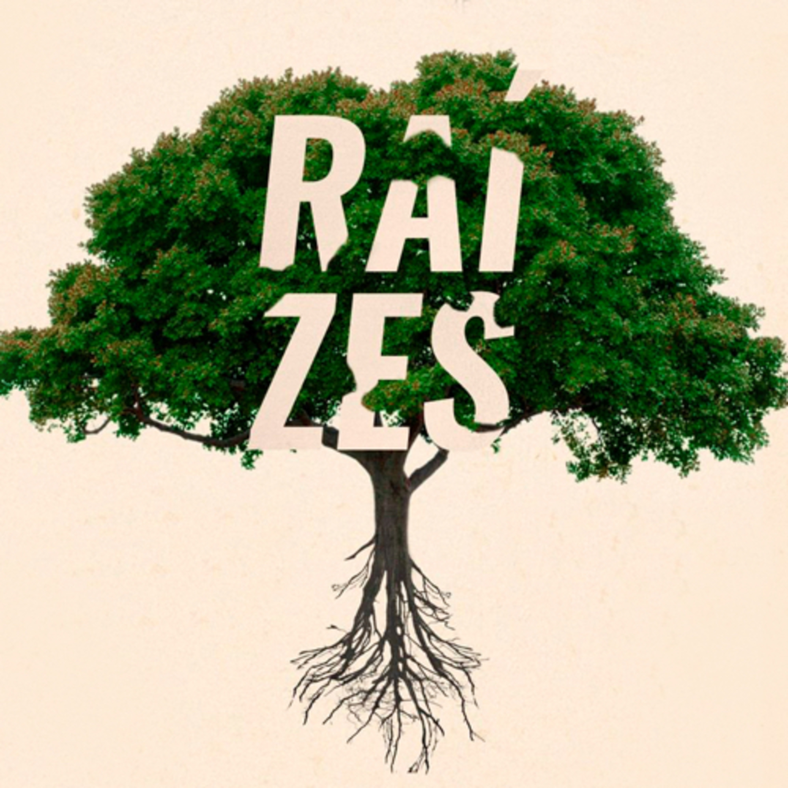Raízes - Saindo da Superficialidade  episode artwork