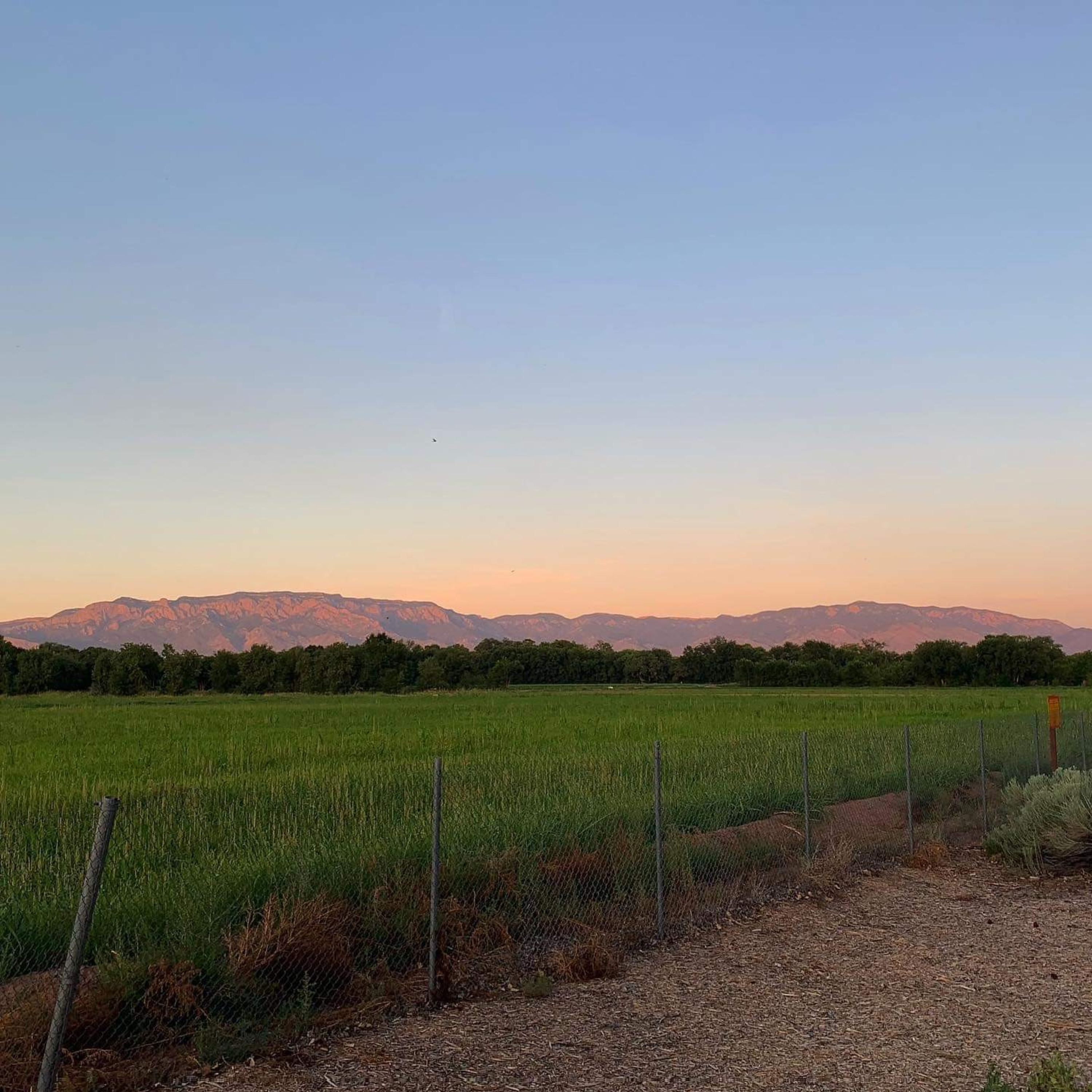 The Land of Enchantment!