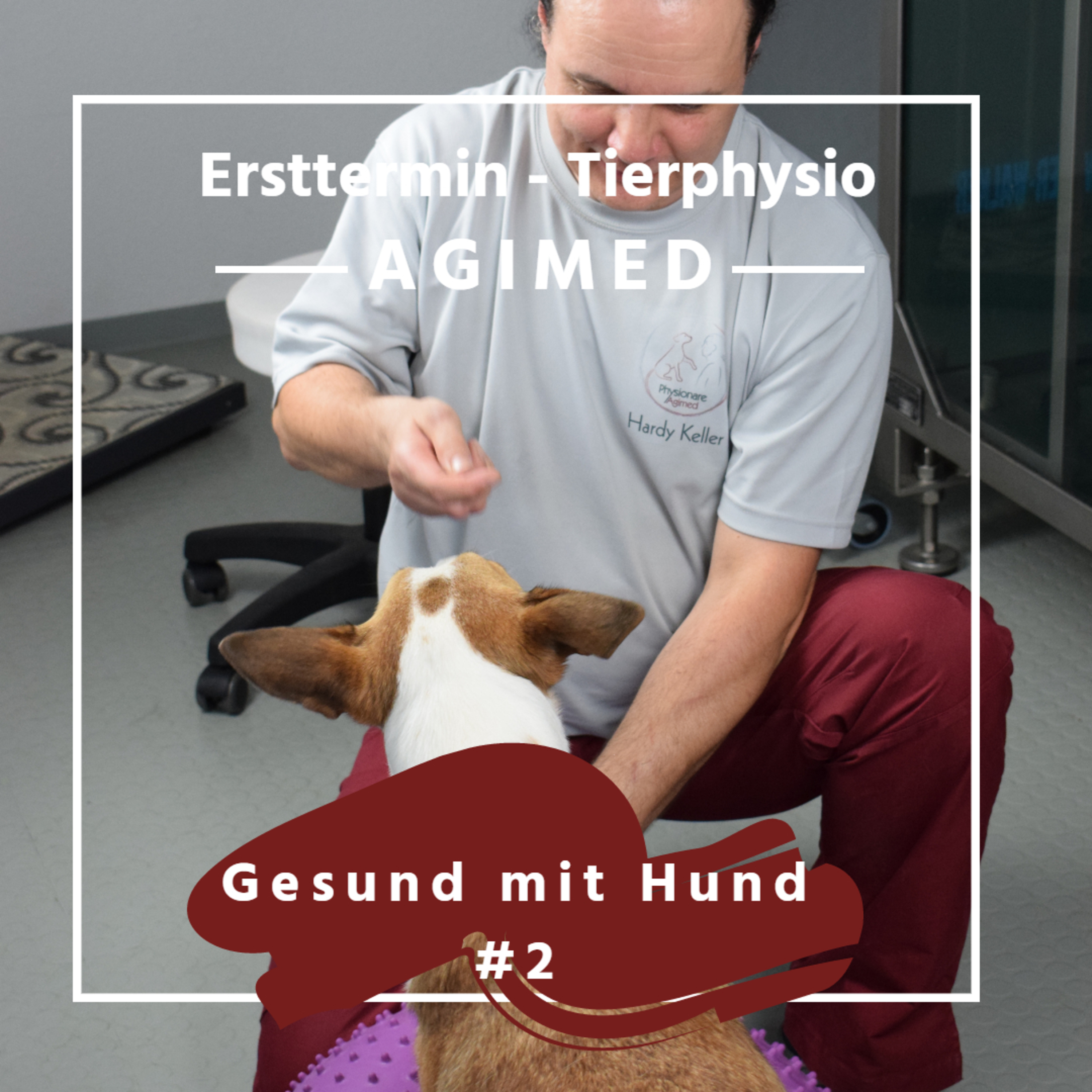 Gesunder Hund #2 - Der Ersttermin beim Tierphysio
