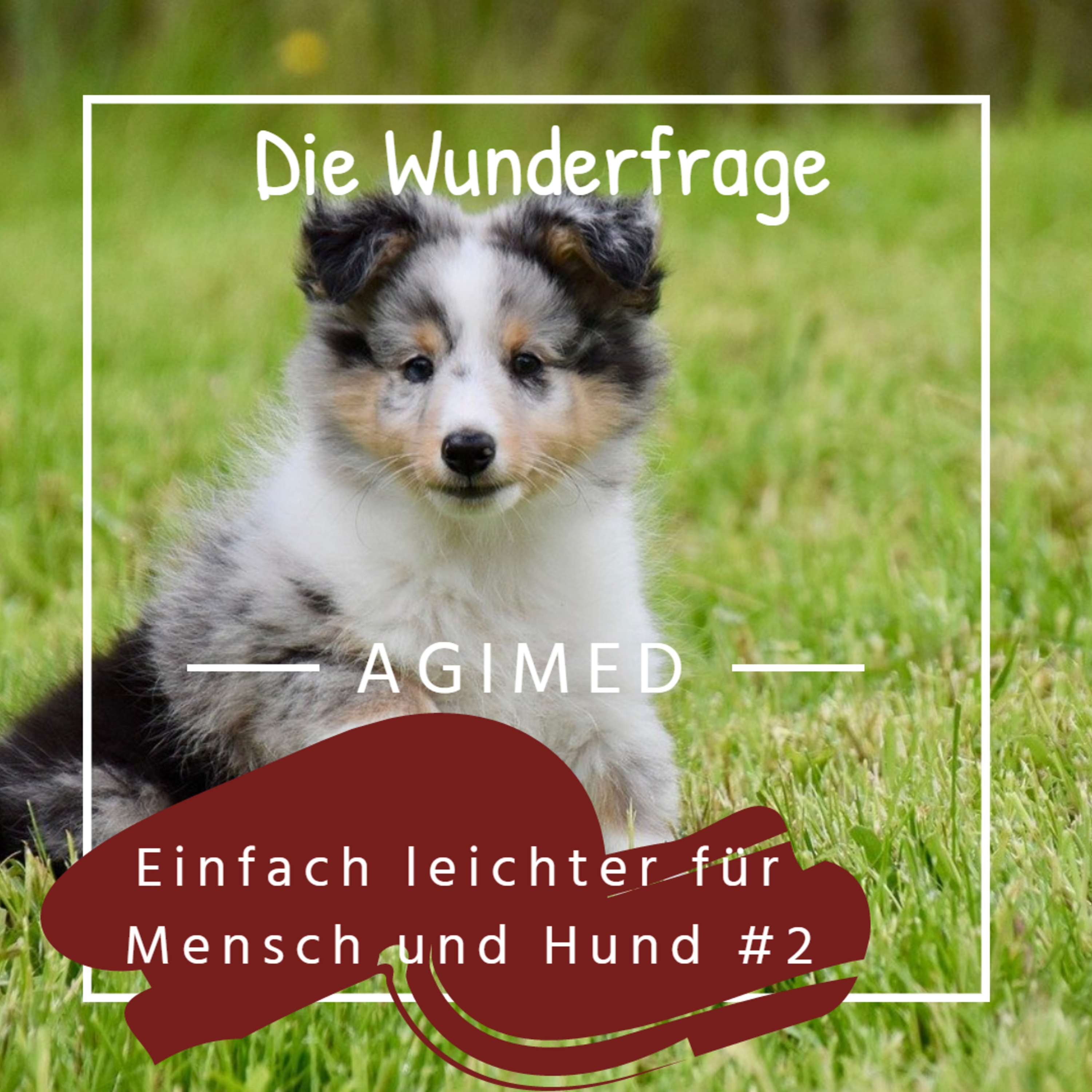 Einfach leichter für Mensch und Hund #2 - Die Wunderfrage episode artwork