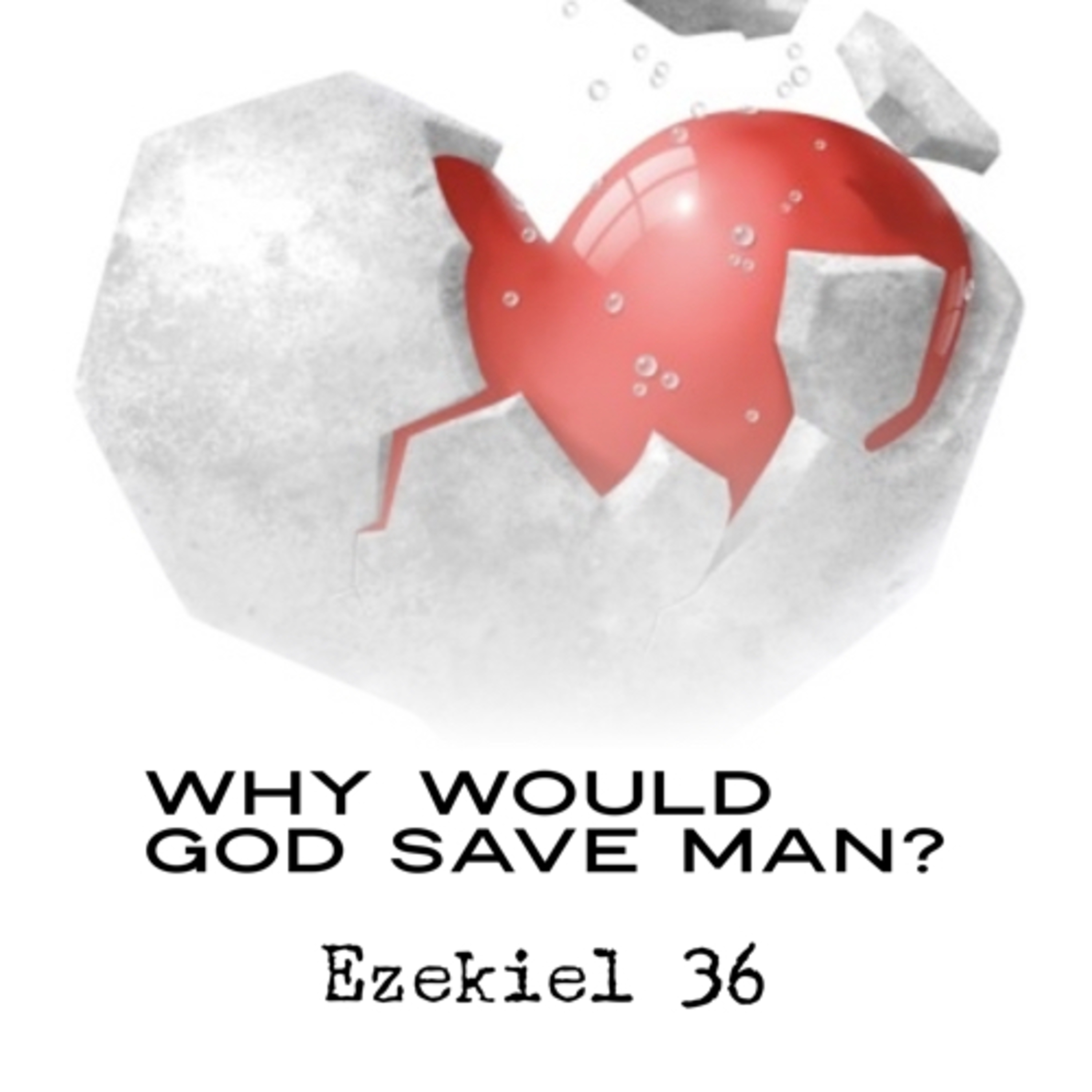 28: Why would God save man? episode artwork