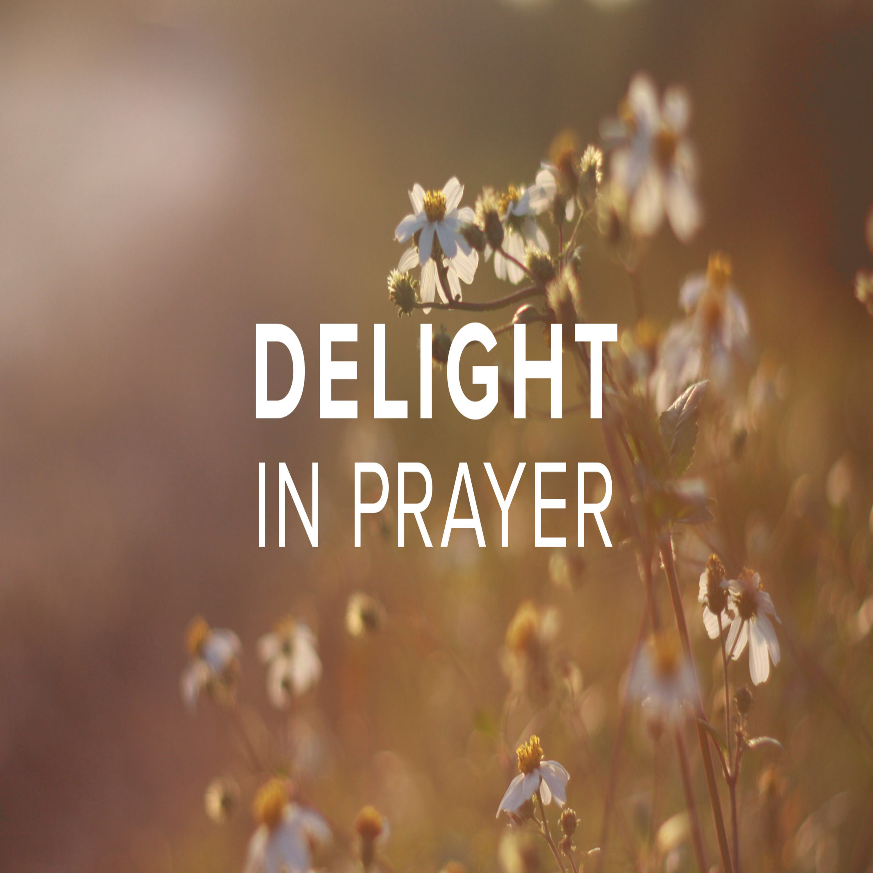 PRAYER FOR PURPOSE IN LIFE  episode artwork
