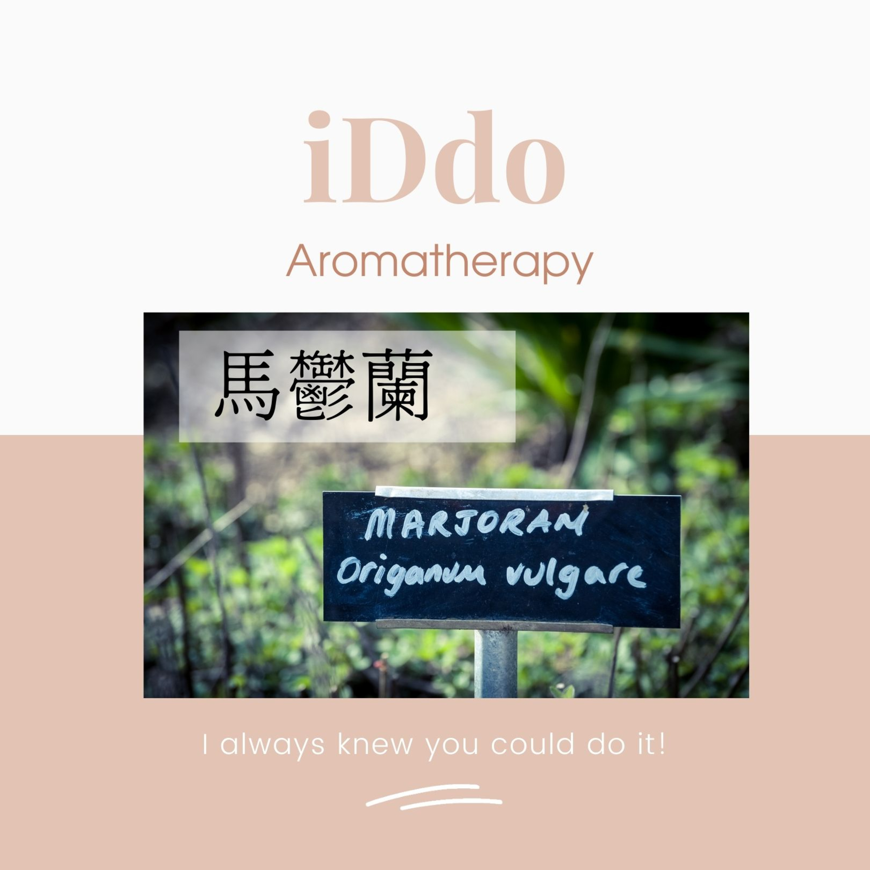 廣泛性焦慮症- 讓你立刻冷卻情緒的馬鬱蘭精油