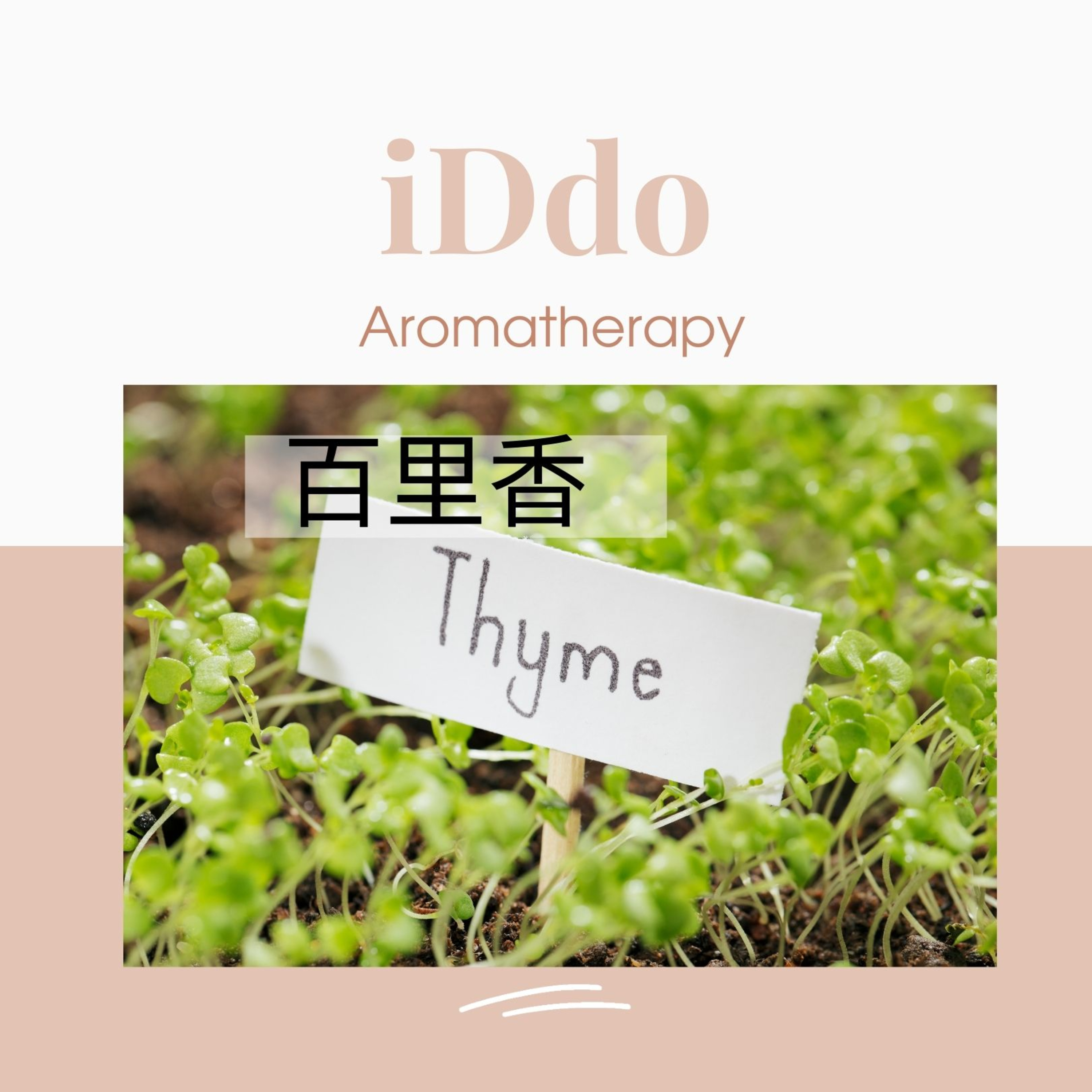 情緒芳療-不委屈自已的勇氣-百里香精油