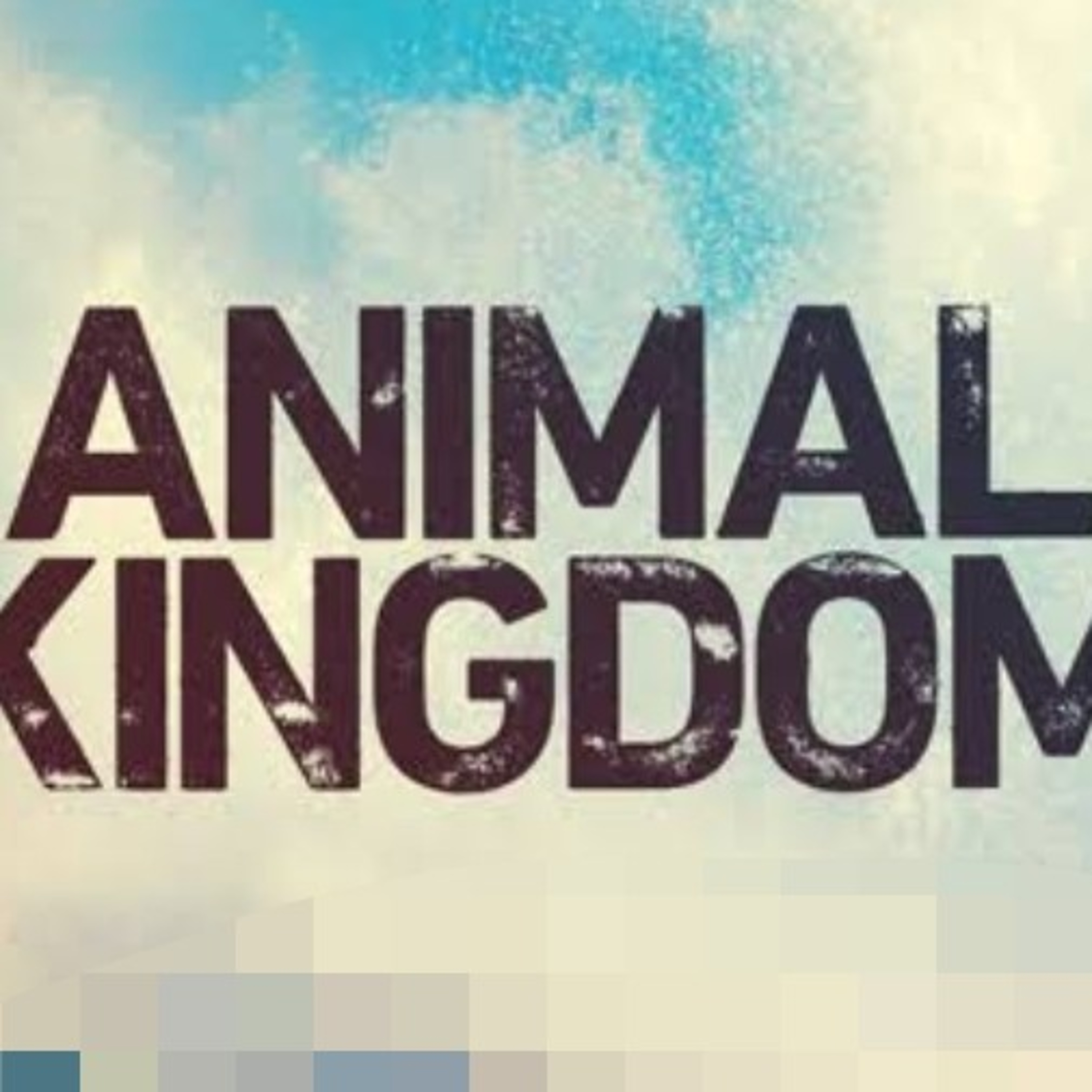 Dr Priyanka Shelke - Pods For Docs