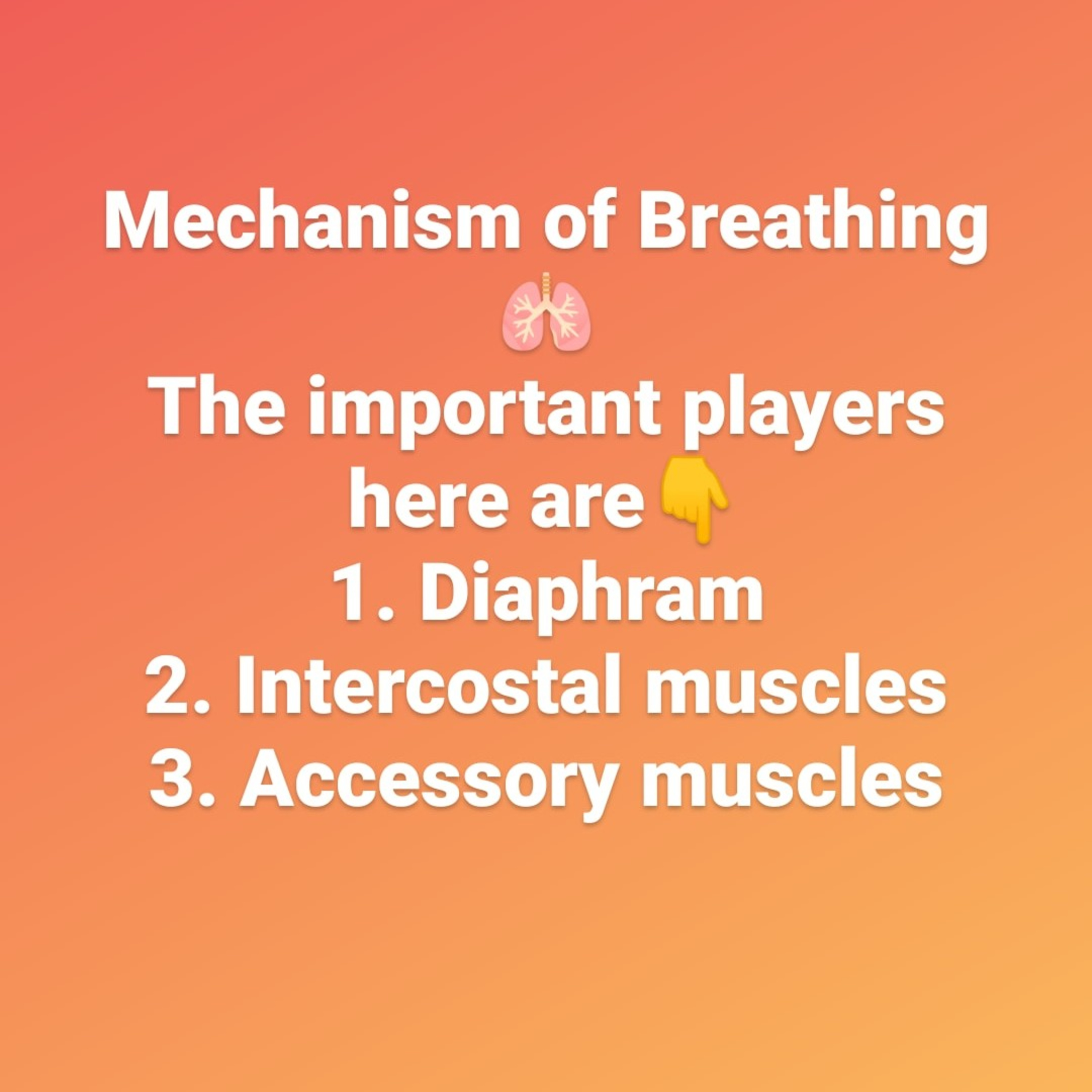 Dr Priyanka Shelke - Pods For Docs