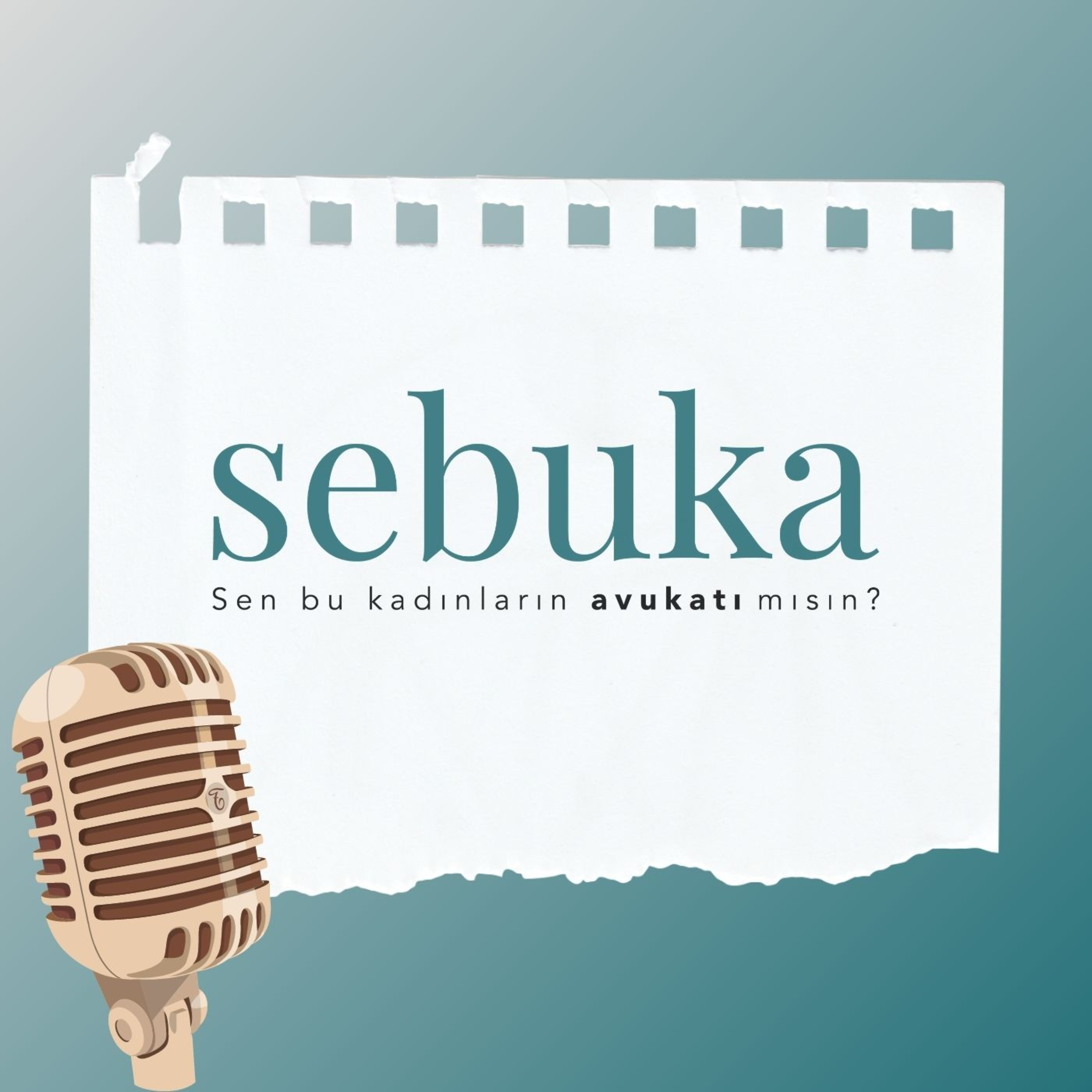 Sen bu kadınların avukatı mısın?