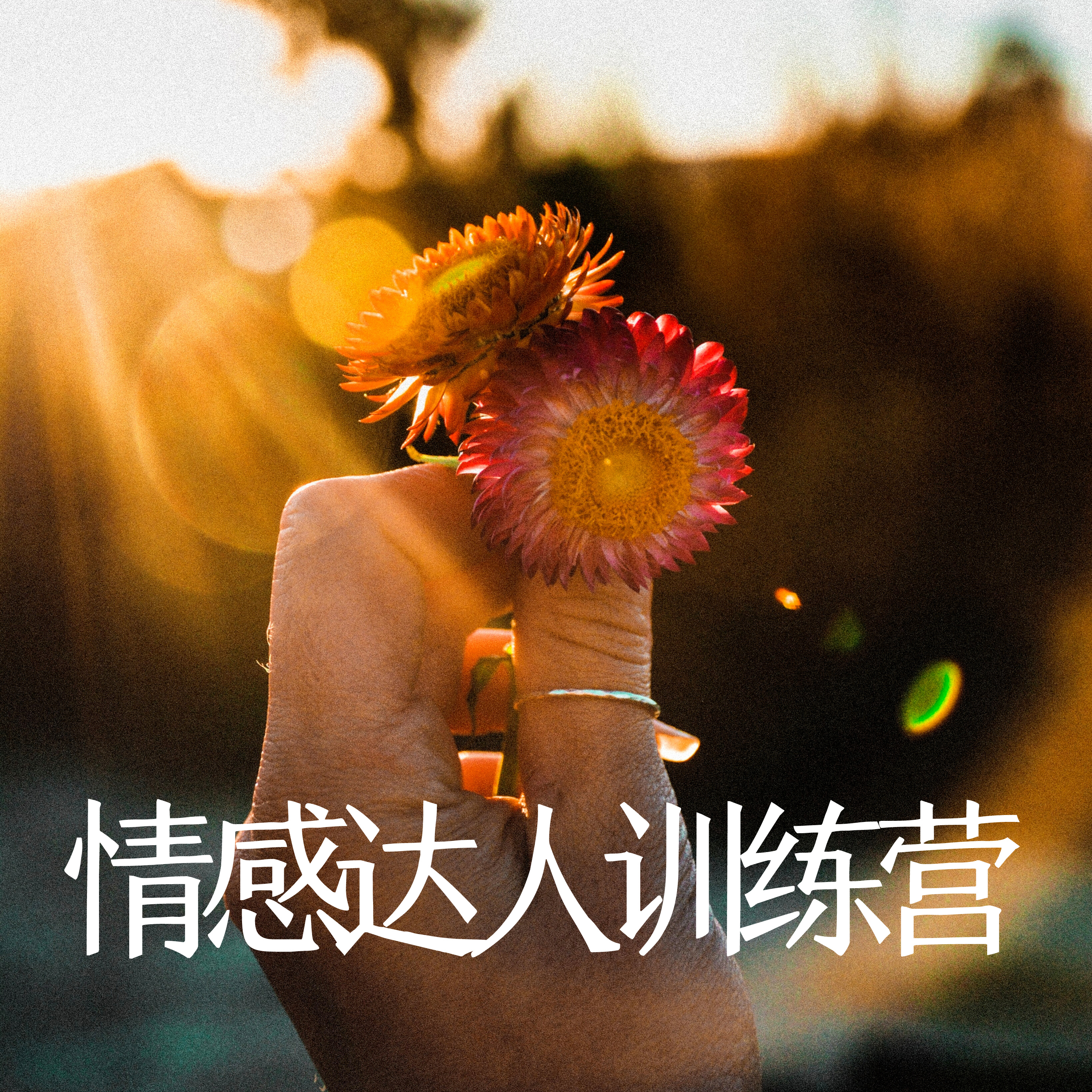 聊天训练营序言：解决掉你的讨好人格 episode artwork