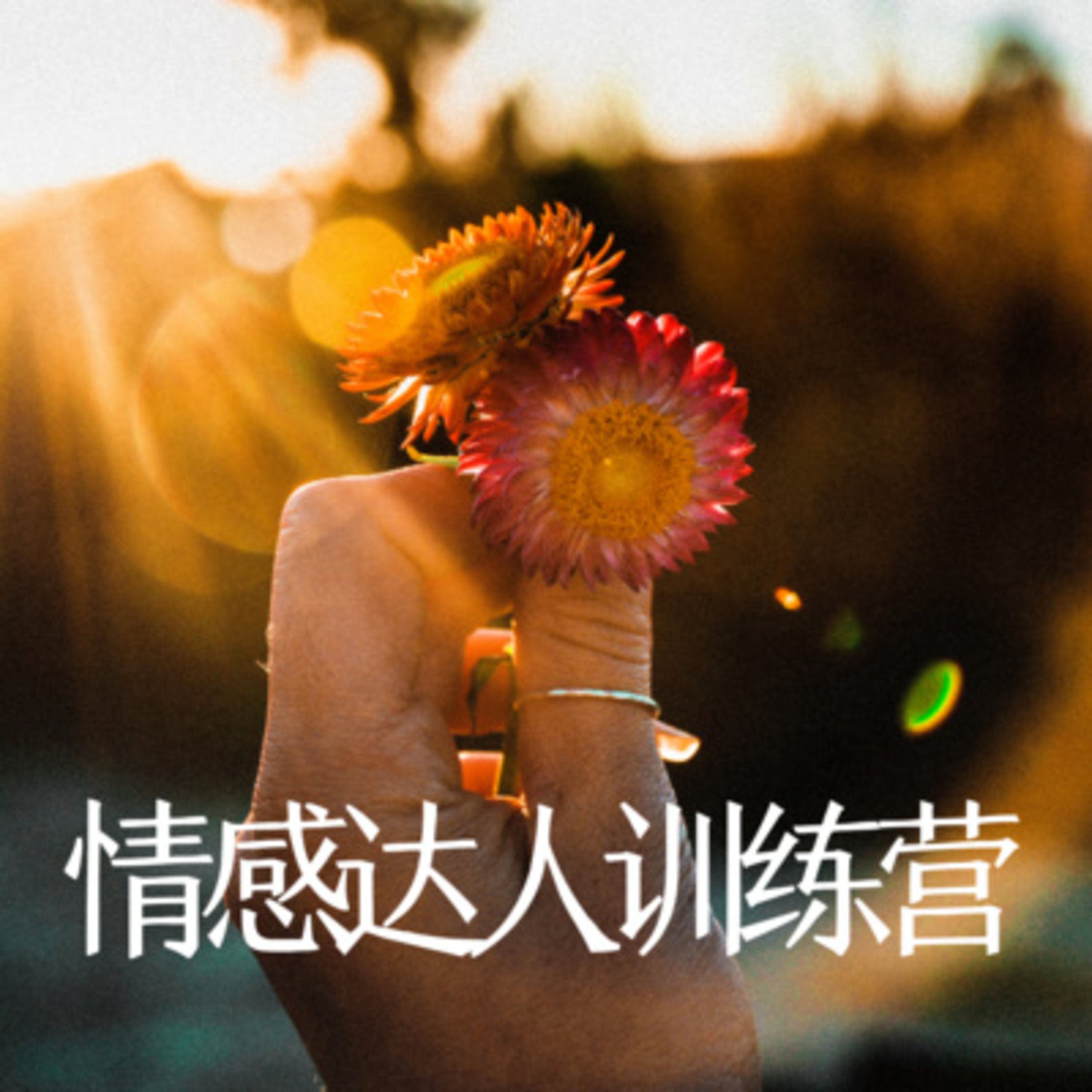 聊天训练营：第一句聊什么？ episode artwork