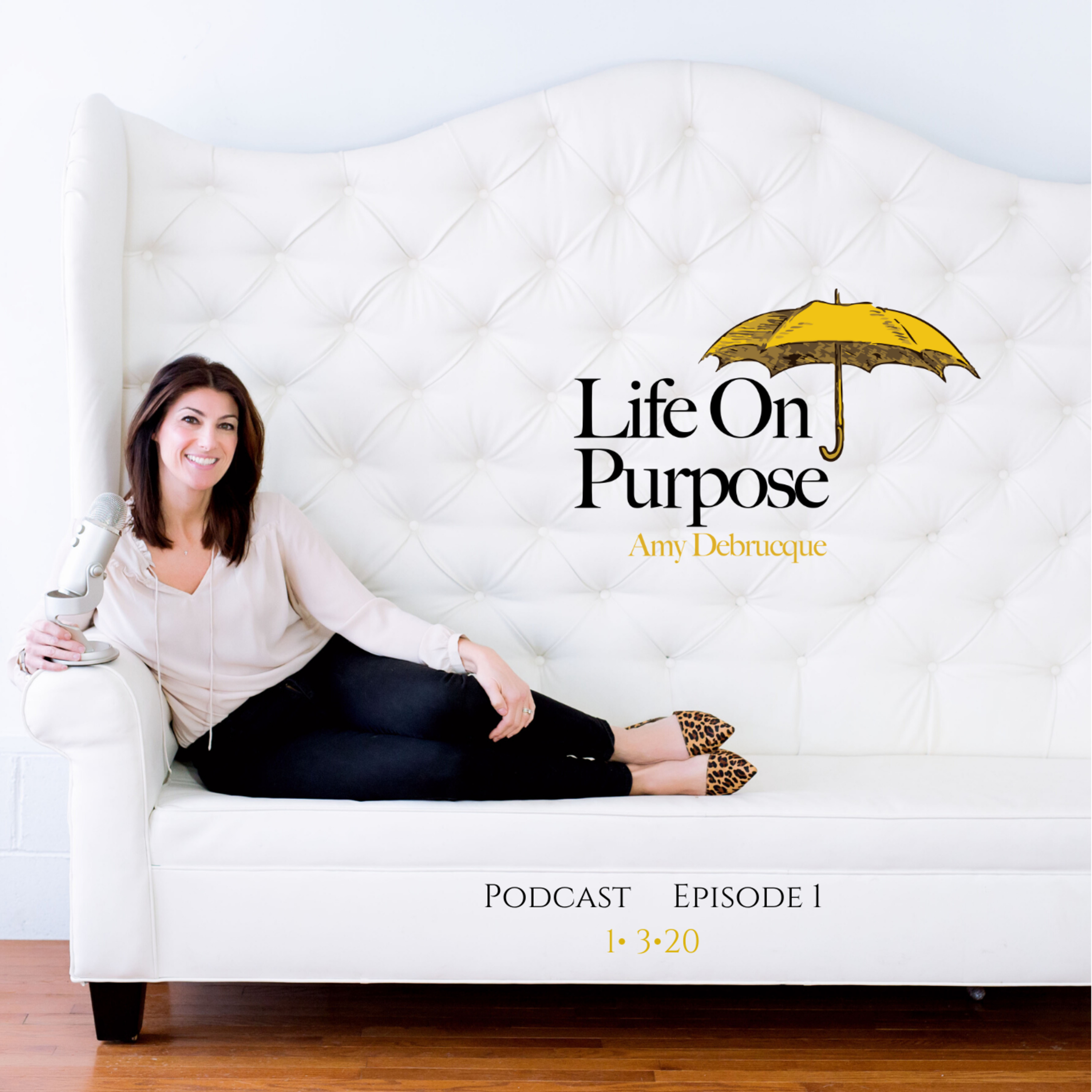 Life On Purpose with Amy Debrucque Episode 1