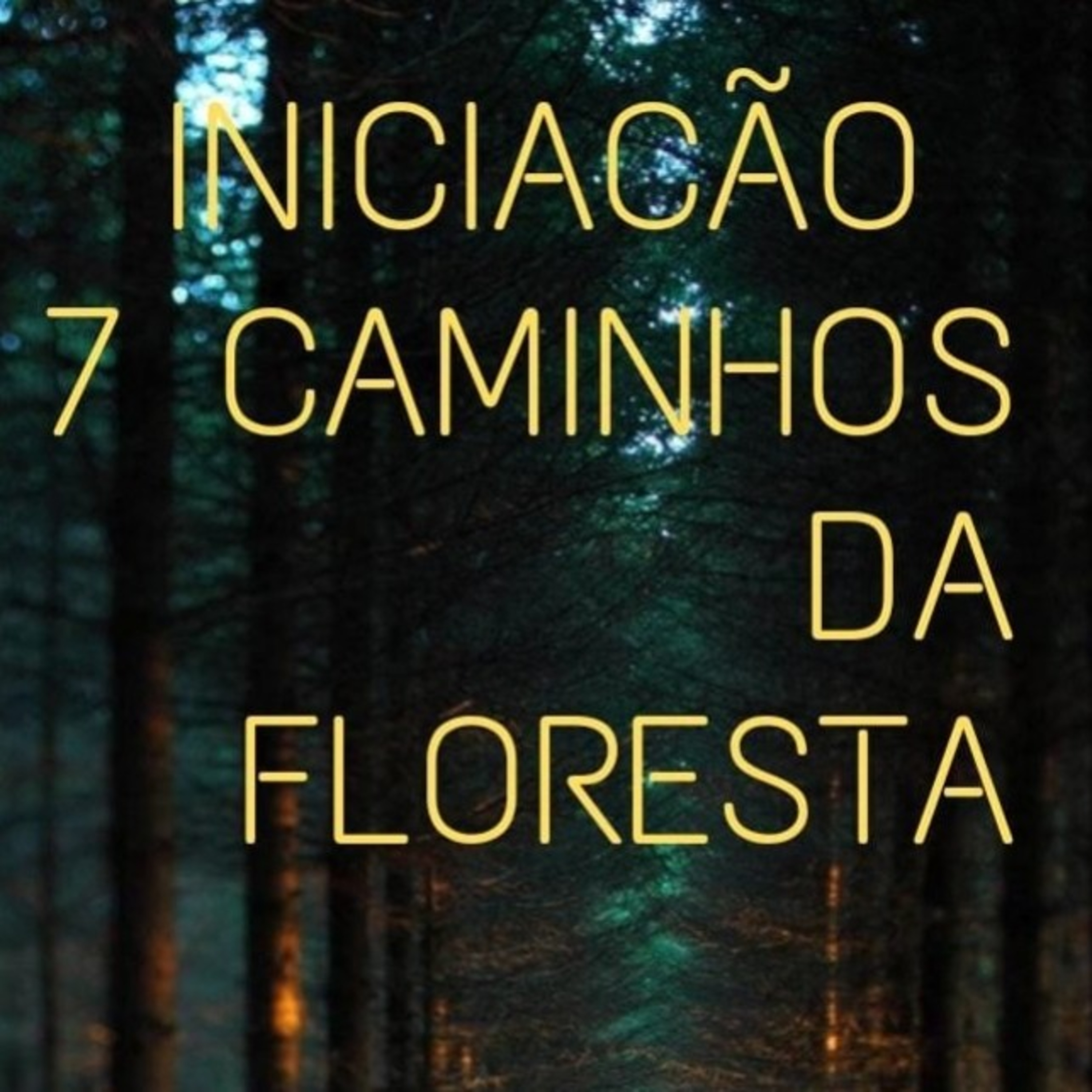 7 Caminhos da Floresta - Processo iniciatico  episode artwork