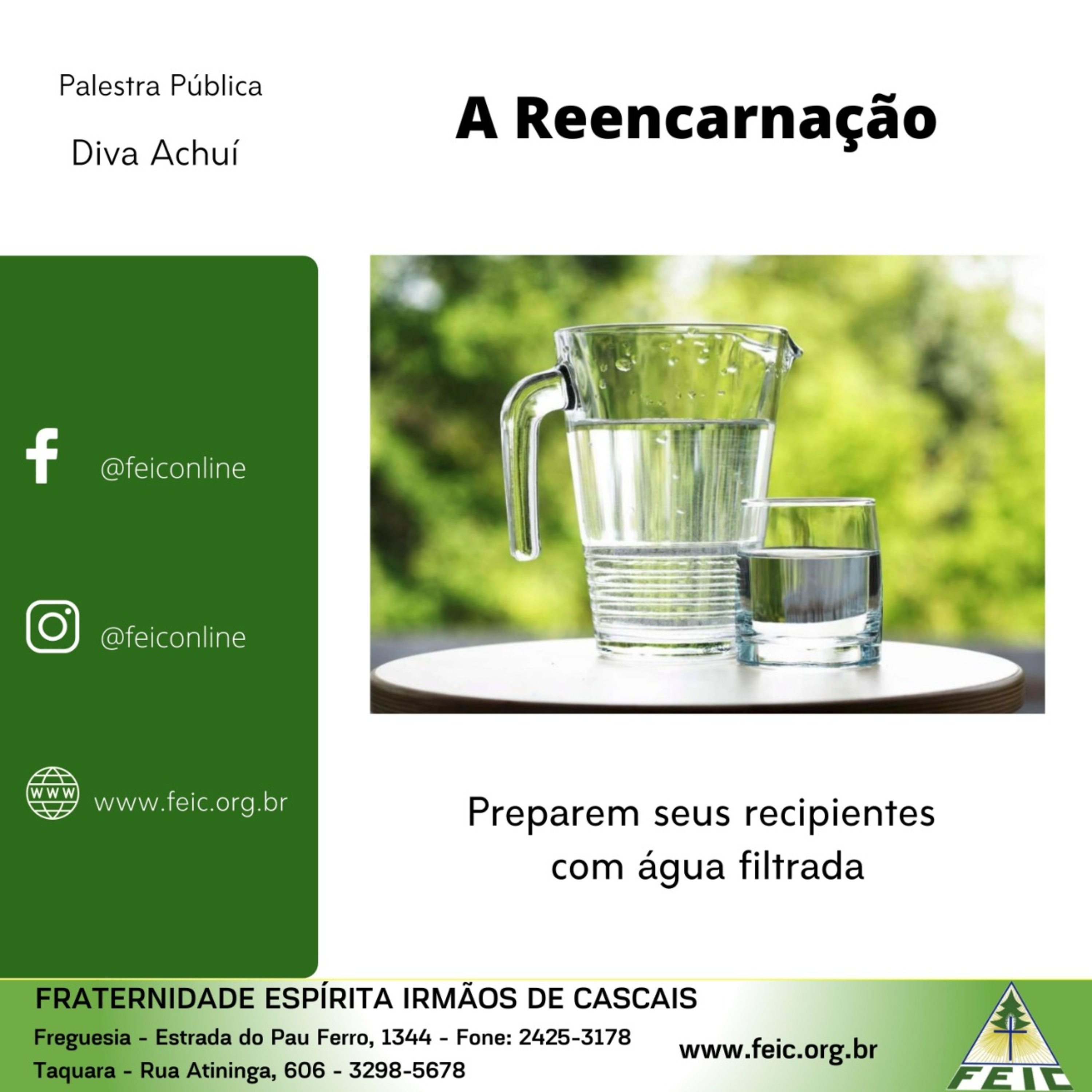 Palestras Públicas - FEIC